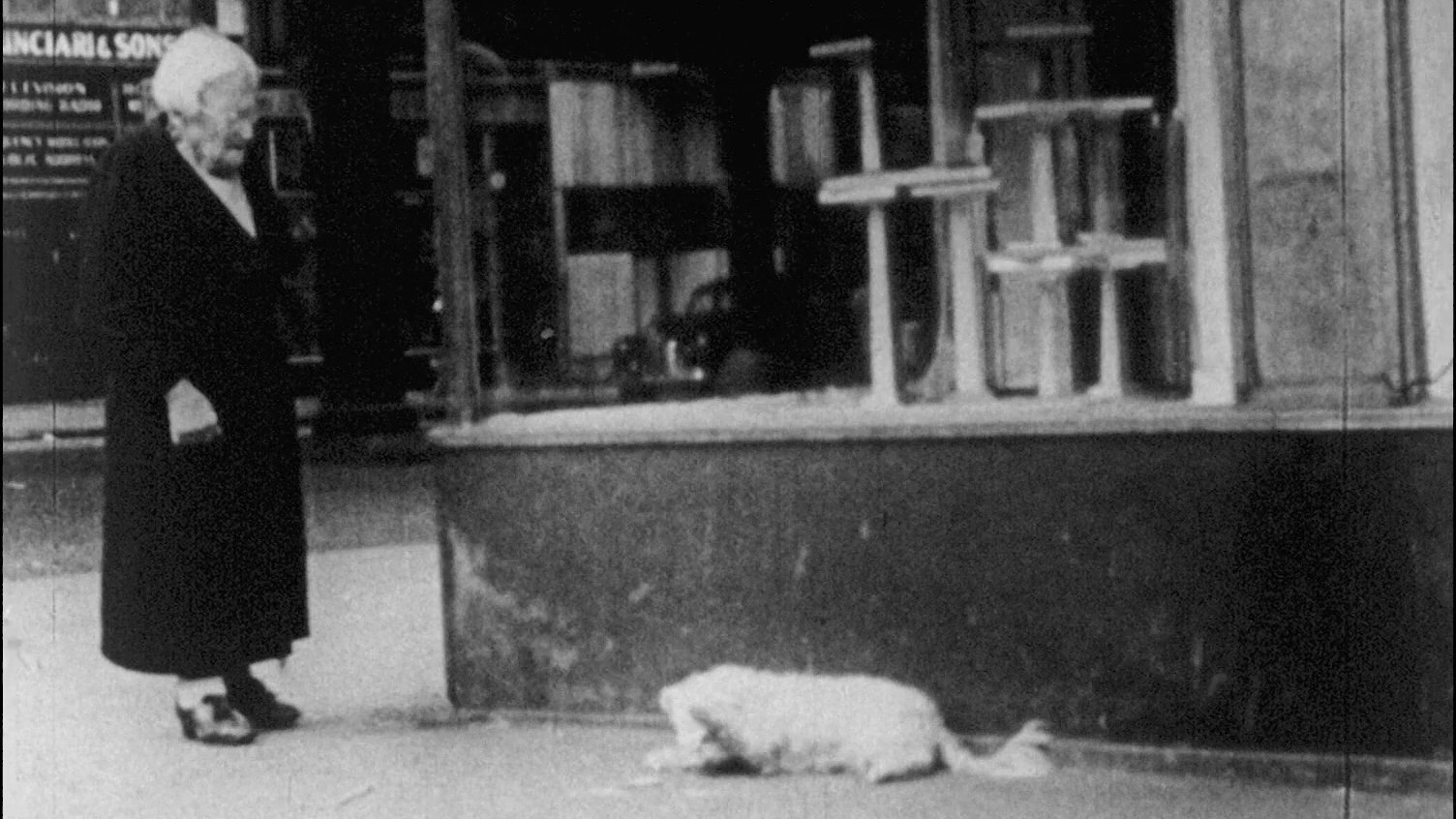 In the Street Background