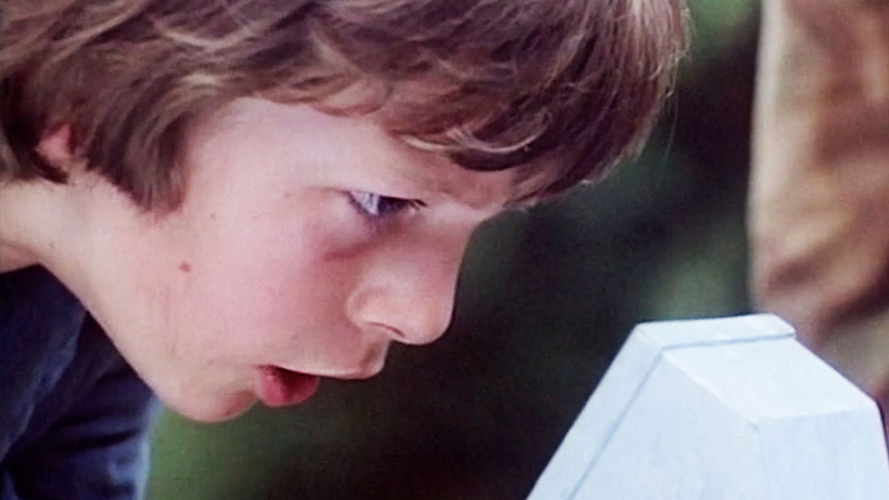 The Battle of Billy's Pond Background