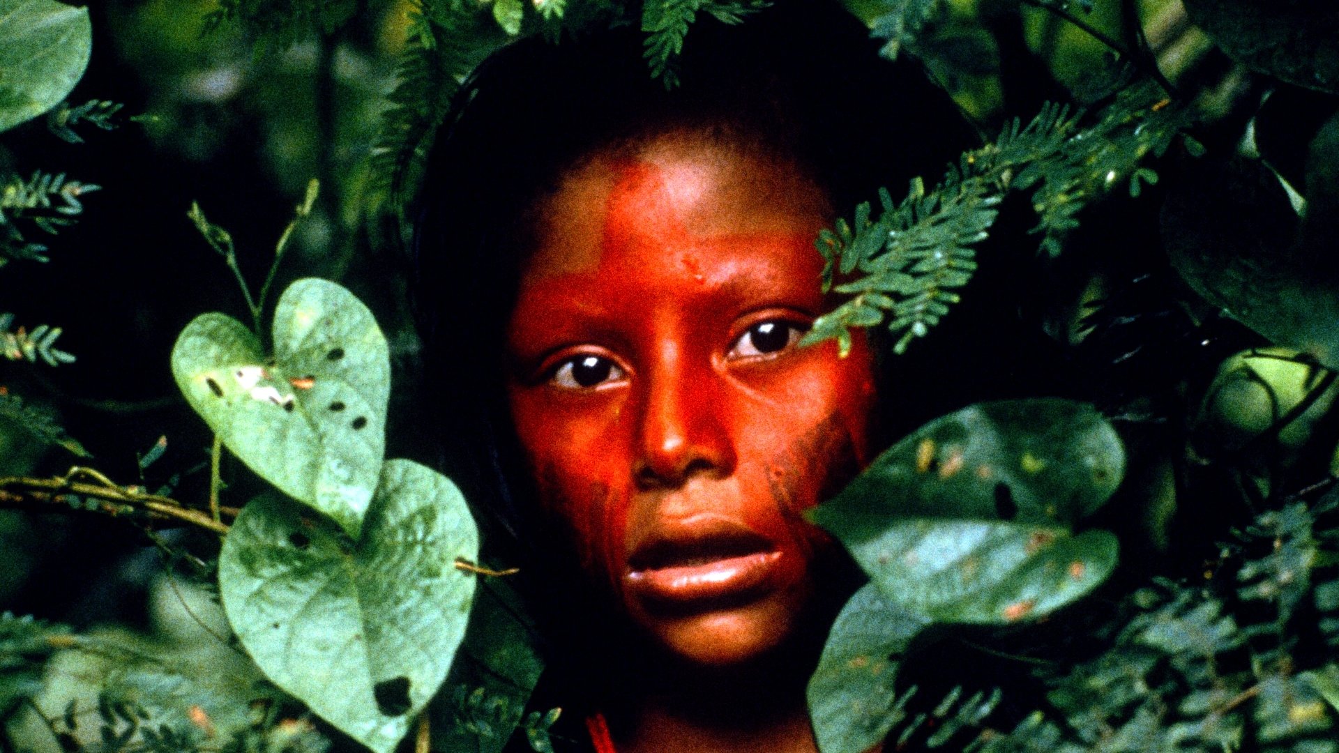 Baraka Background