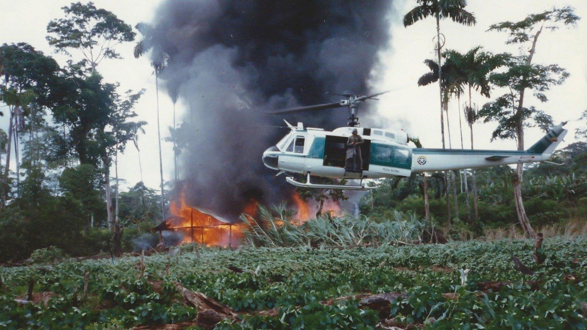 Narco Wars: In Their Own Words Background