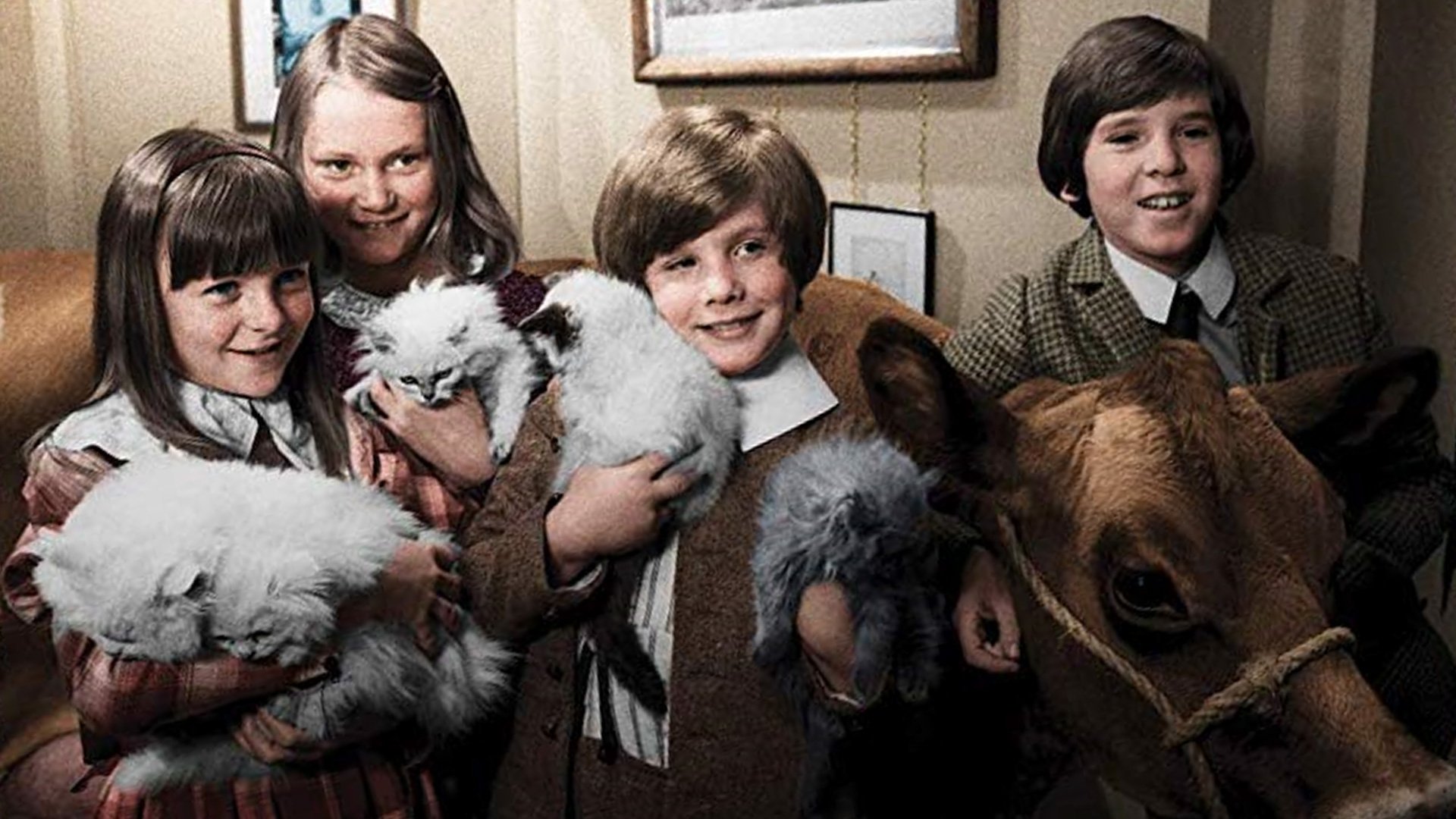 The Phoenix and the Carpet Background