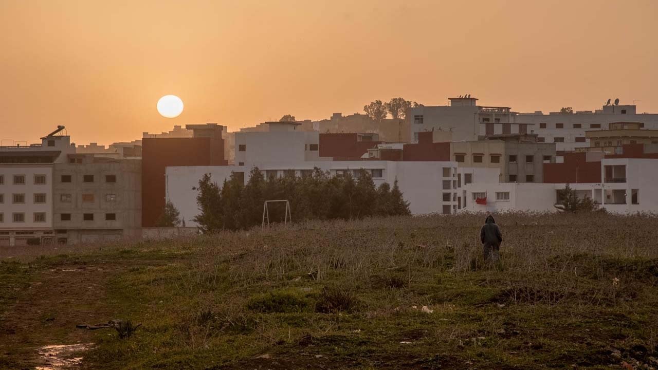 Palestine Background