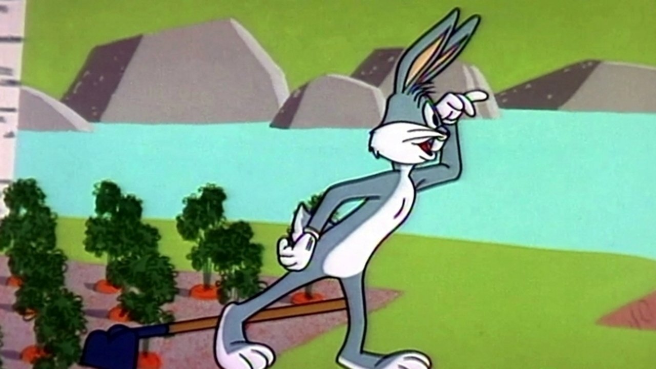 Wet Hare Background