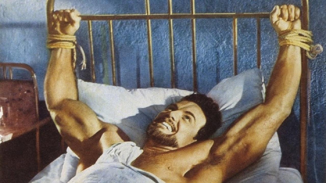 The White Warrior Background