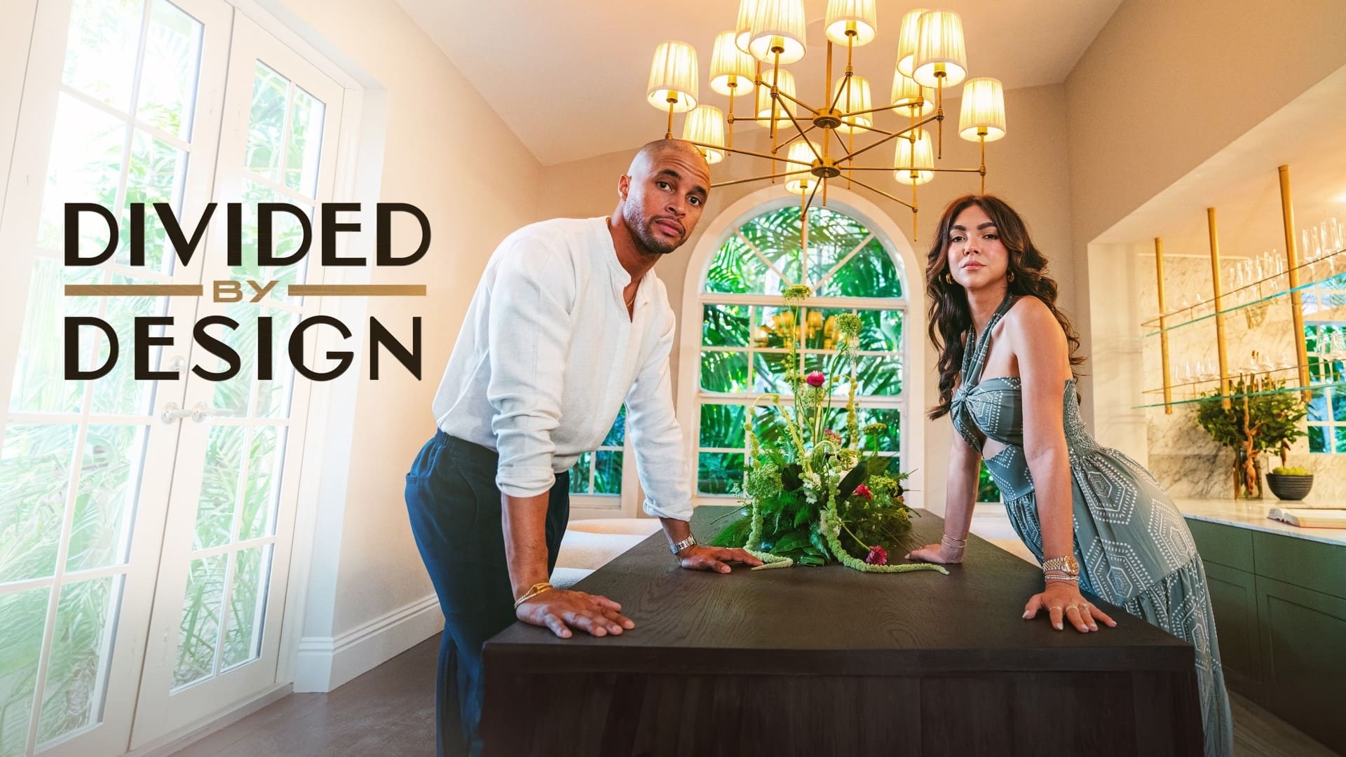 Divided by Design Background