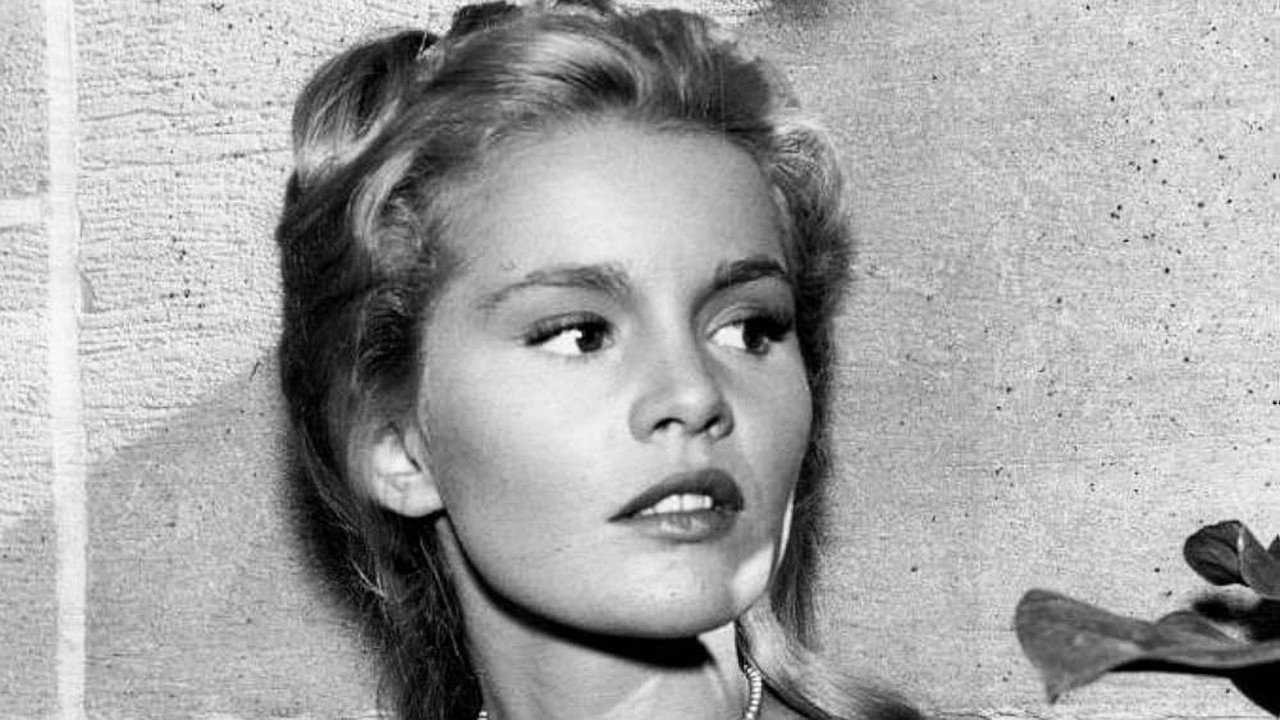 Follow the Sun Background