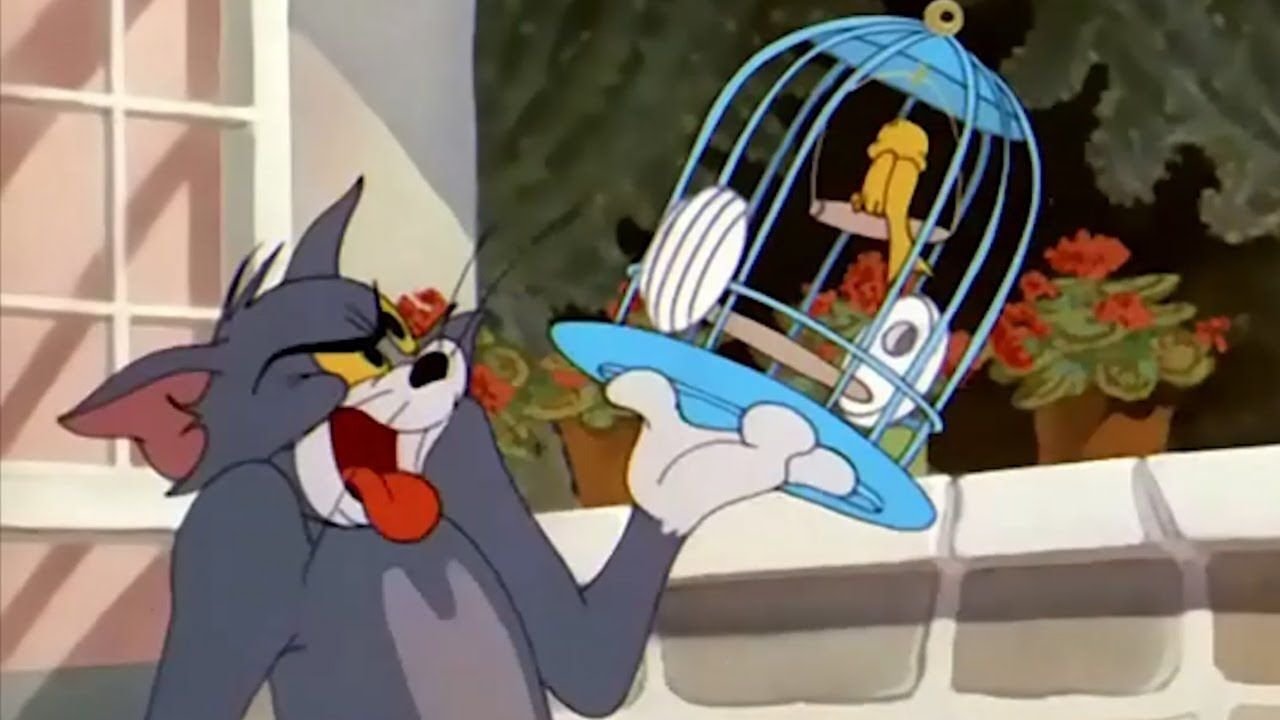 The Flying Cat Background