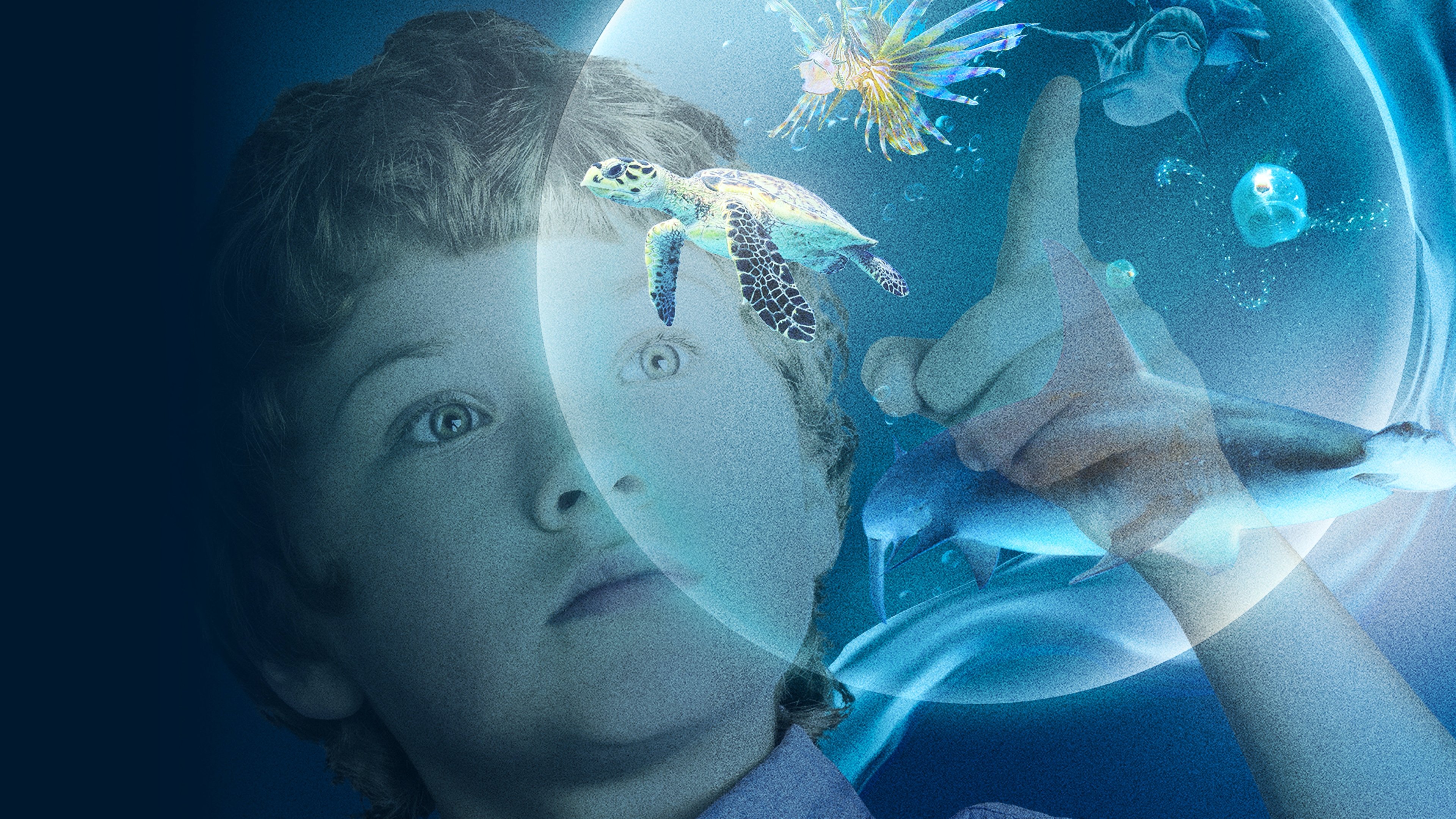 Wonders of the Sea 3D Background
