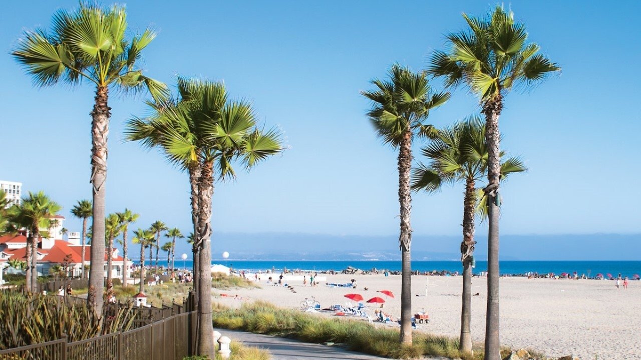 California Dreaming – Der Zukunft einen Schritt voraus Background