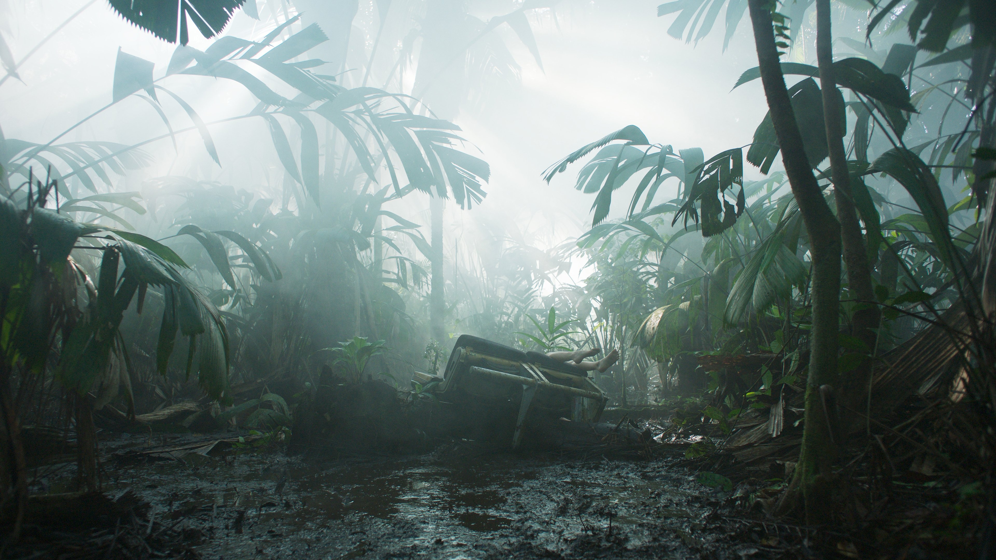 Transamazonia Background