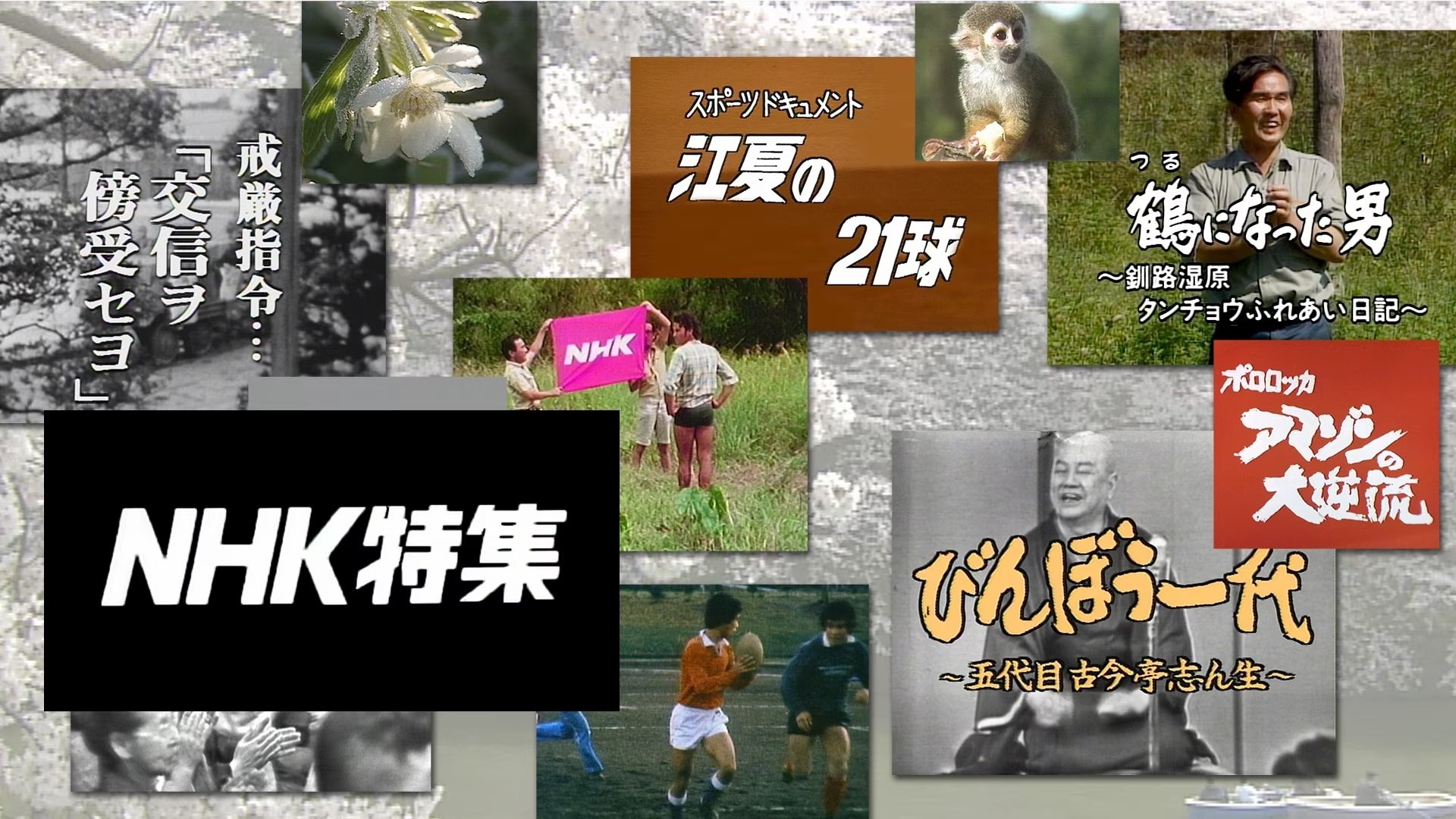 NHK Special Feature Background