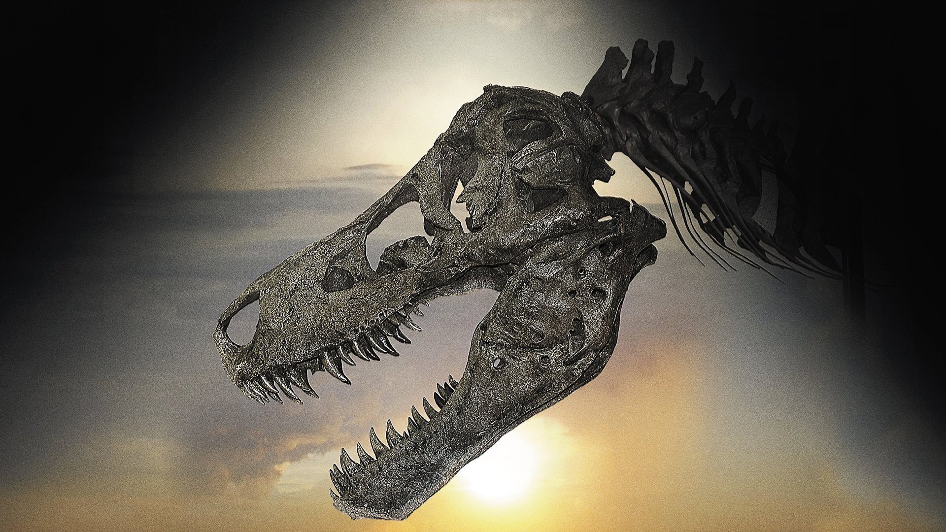 Dinosaur 13 Background