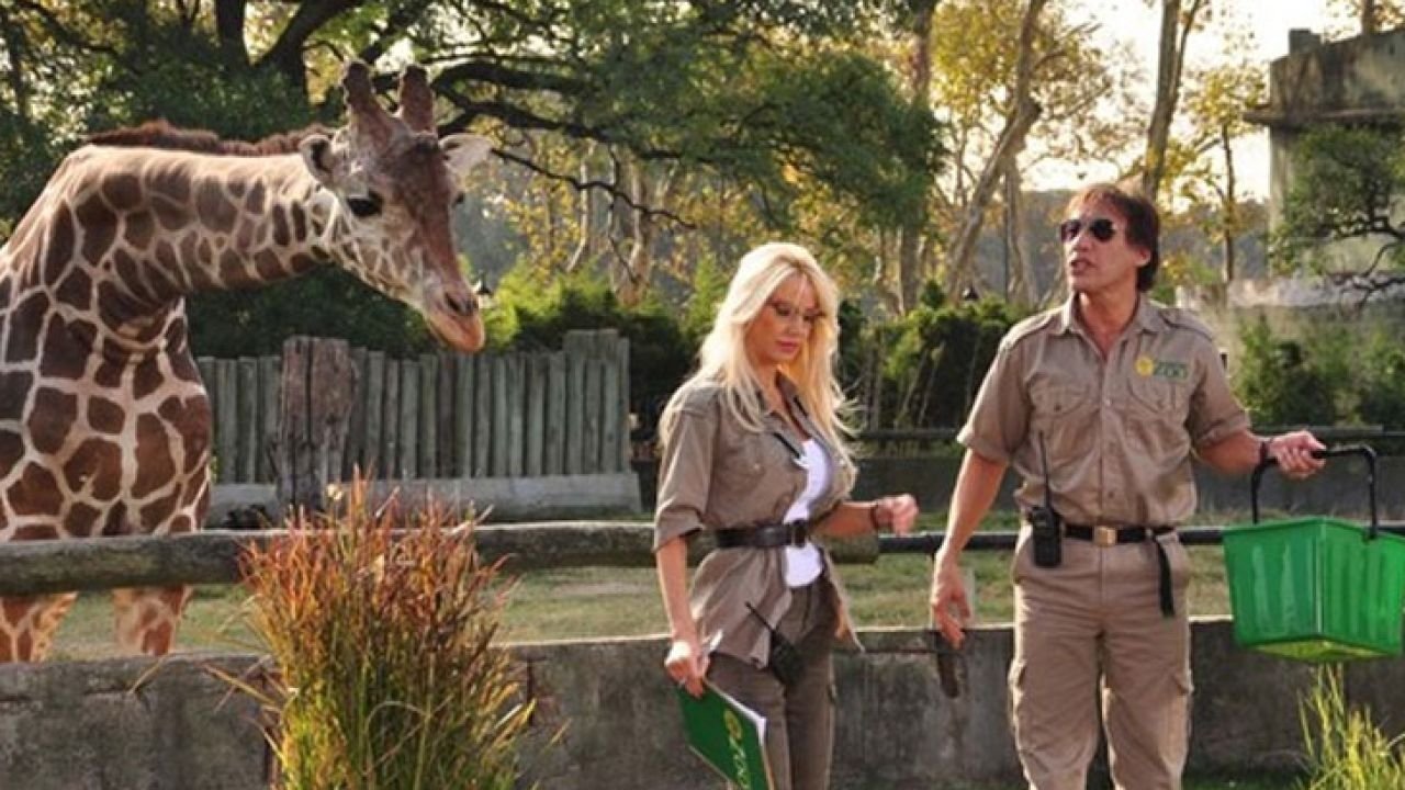 Locos sueltos en el zoo Background