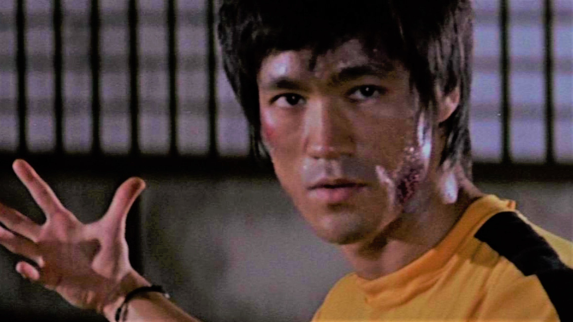 Game of Death Redux Background