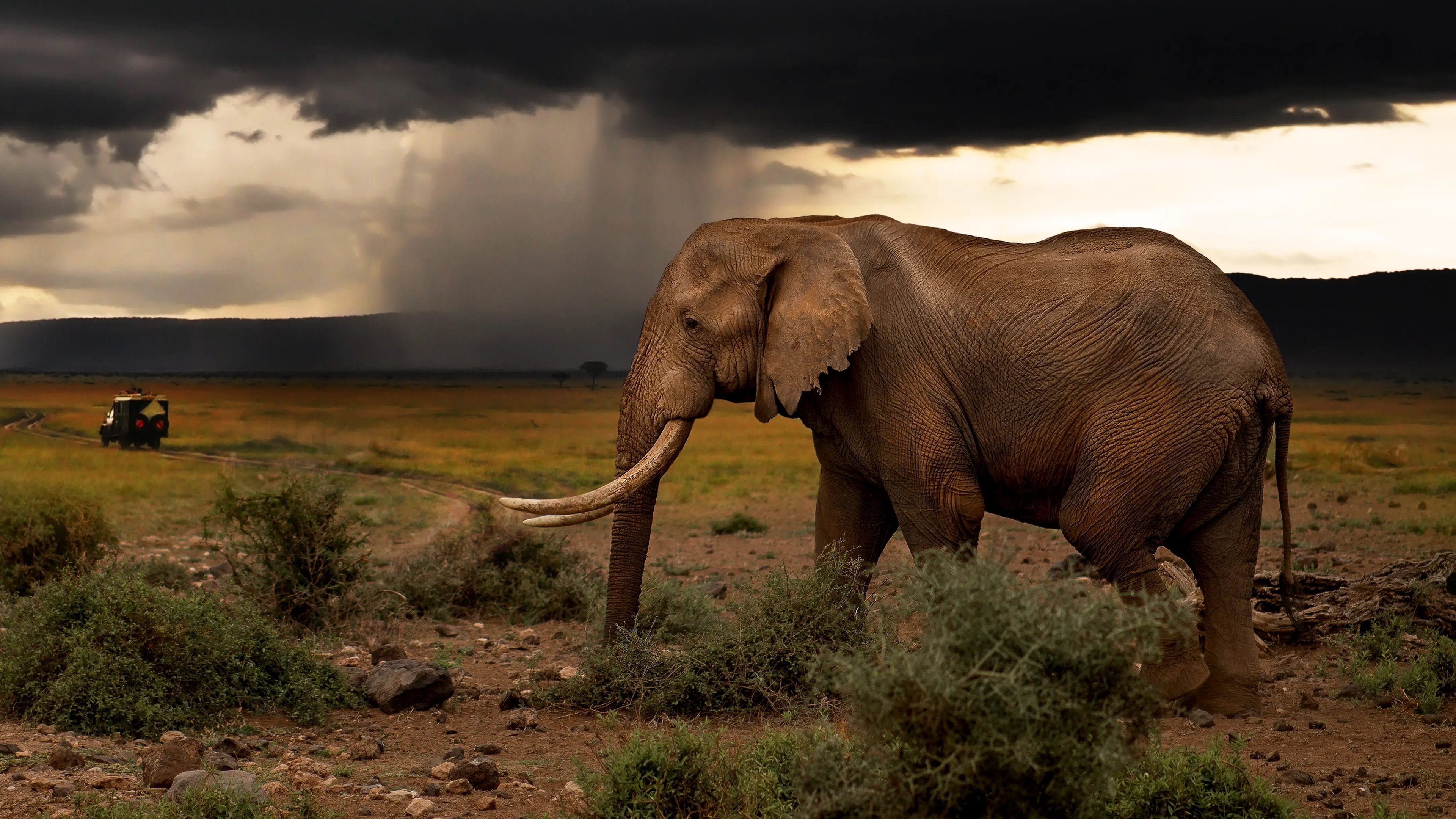 Chasing the Rains Background
