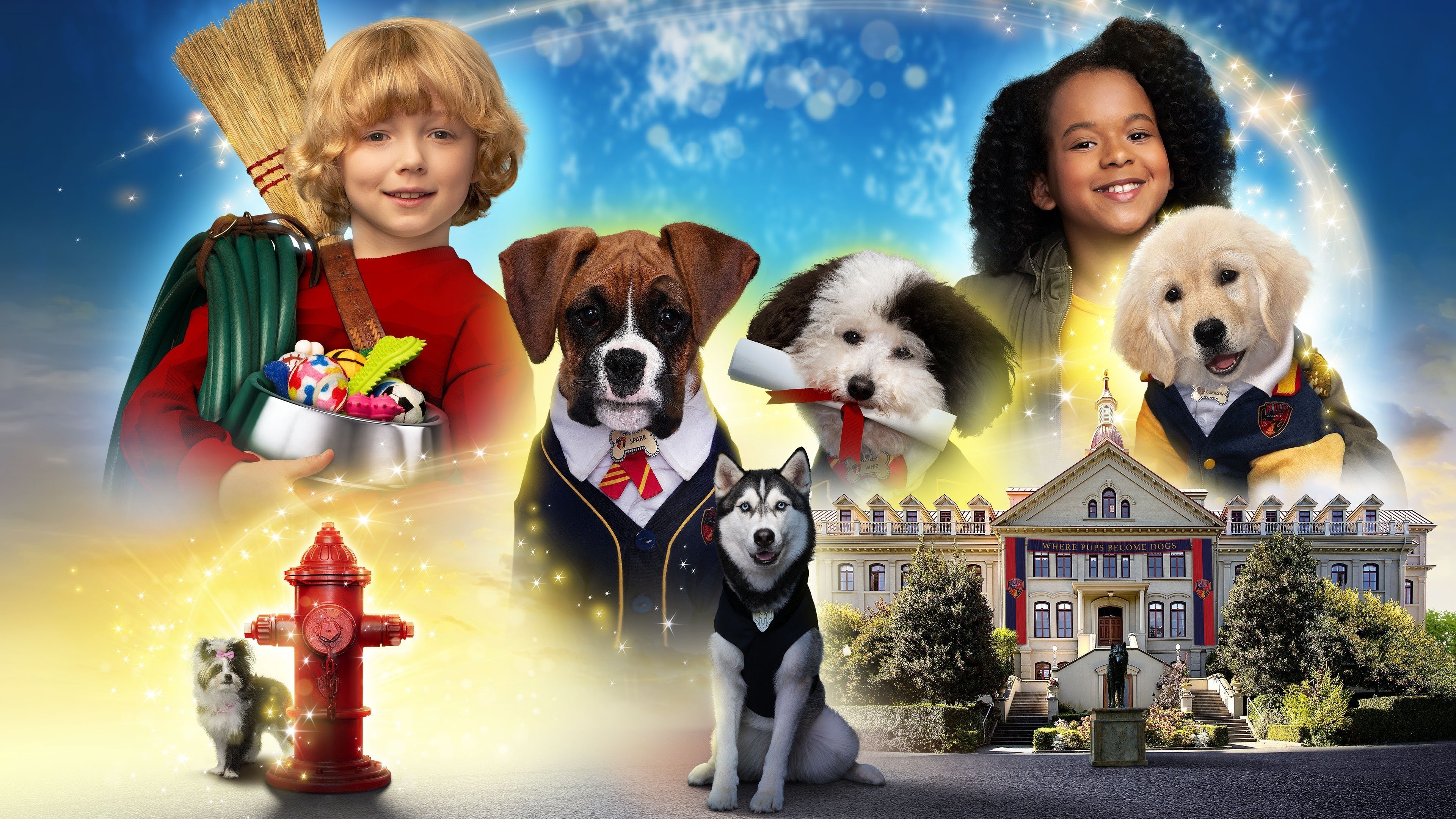 Pup Academy Background