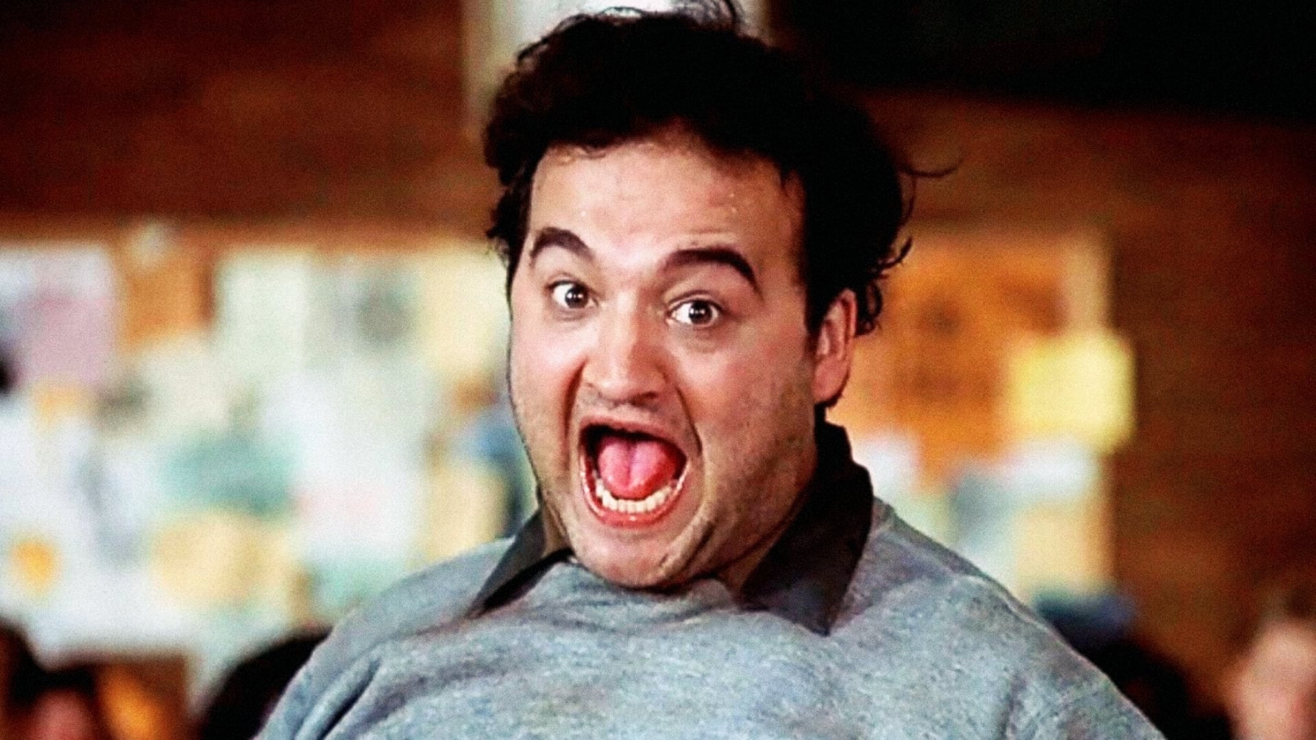 Animal House Background
