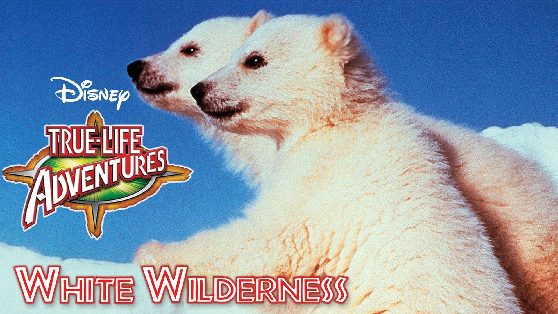 White Wilderness Background