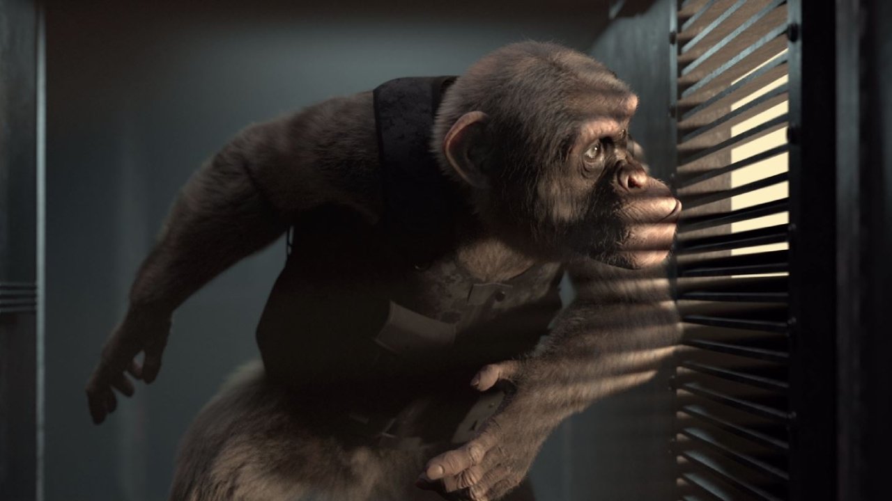 C.I.Ape Background