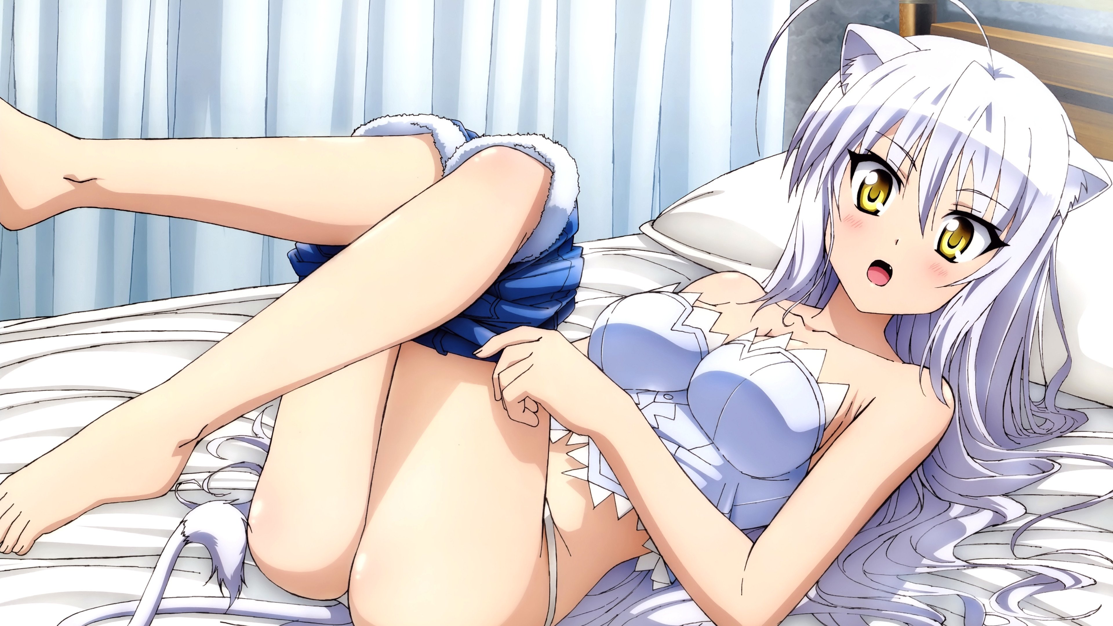 Dog Days Background