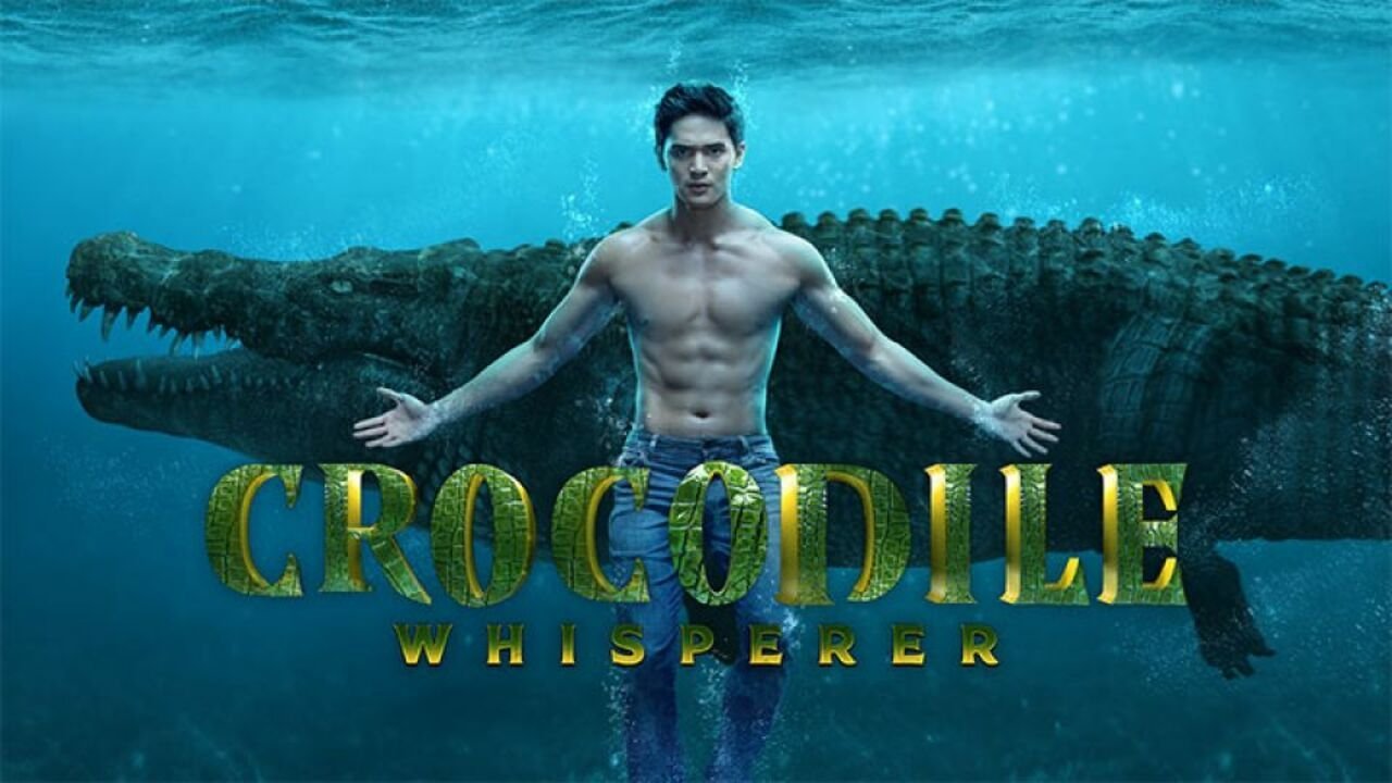 Crocodile Whisperer Background