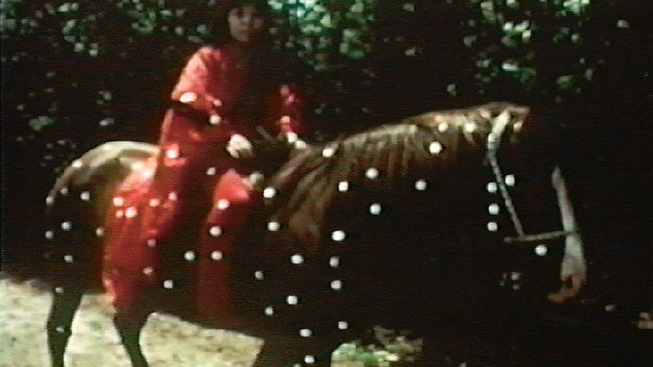 Kusama's Self-Obliteration Background