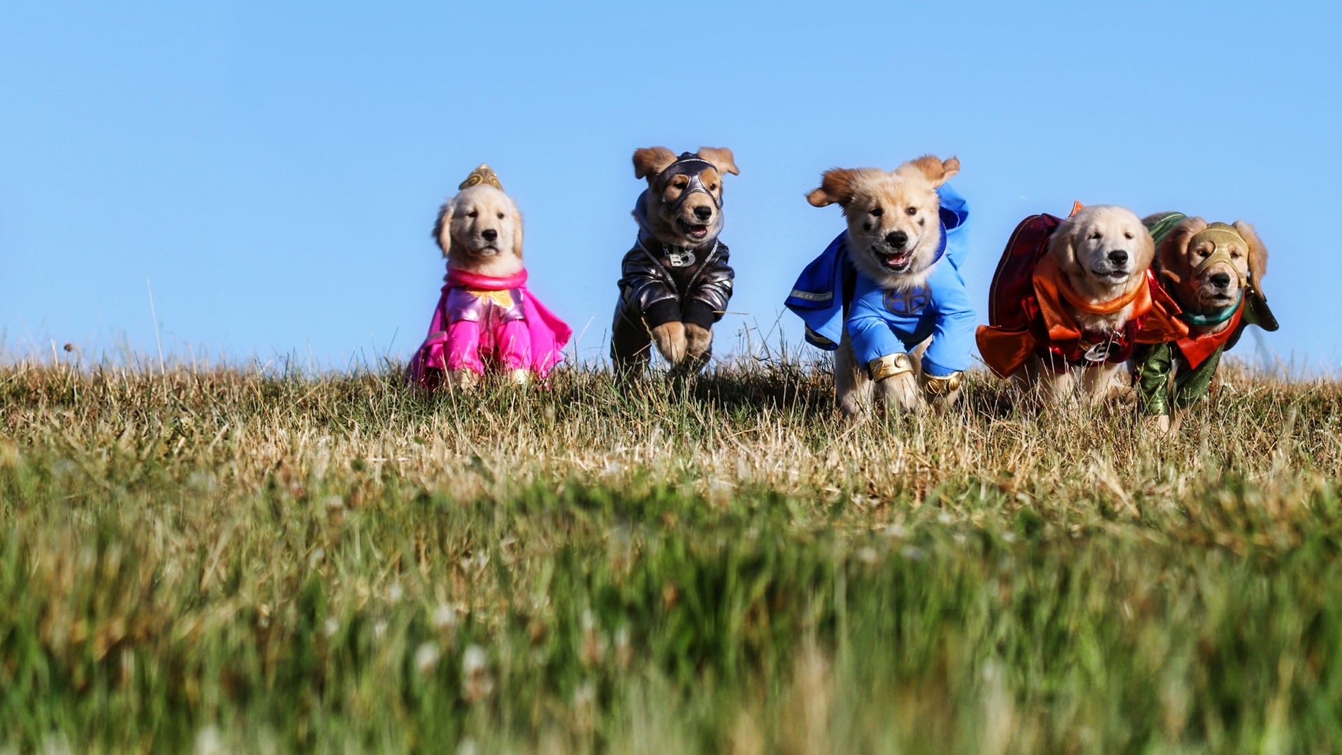 Super Buddies Background