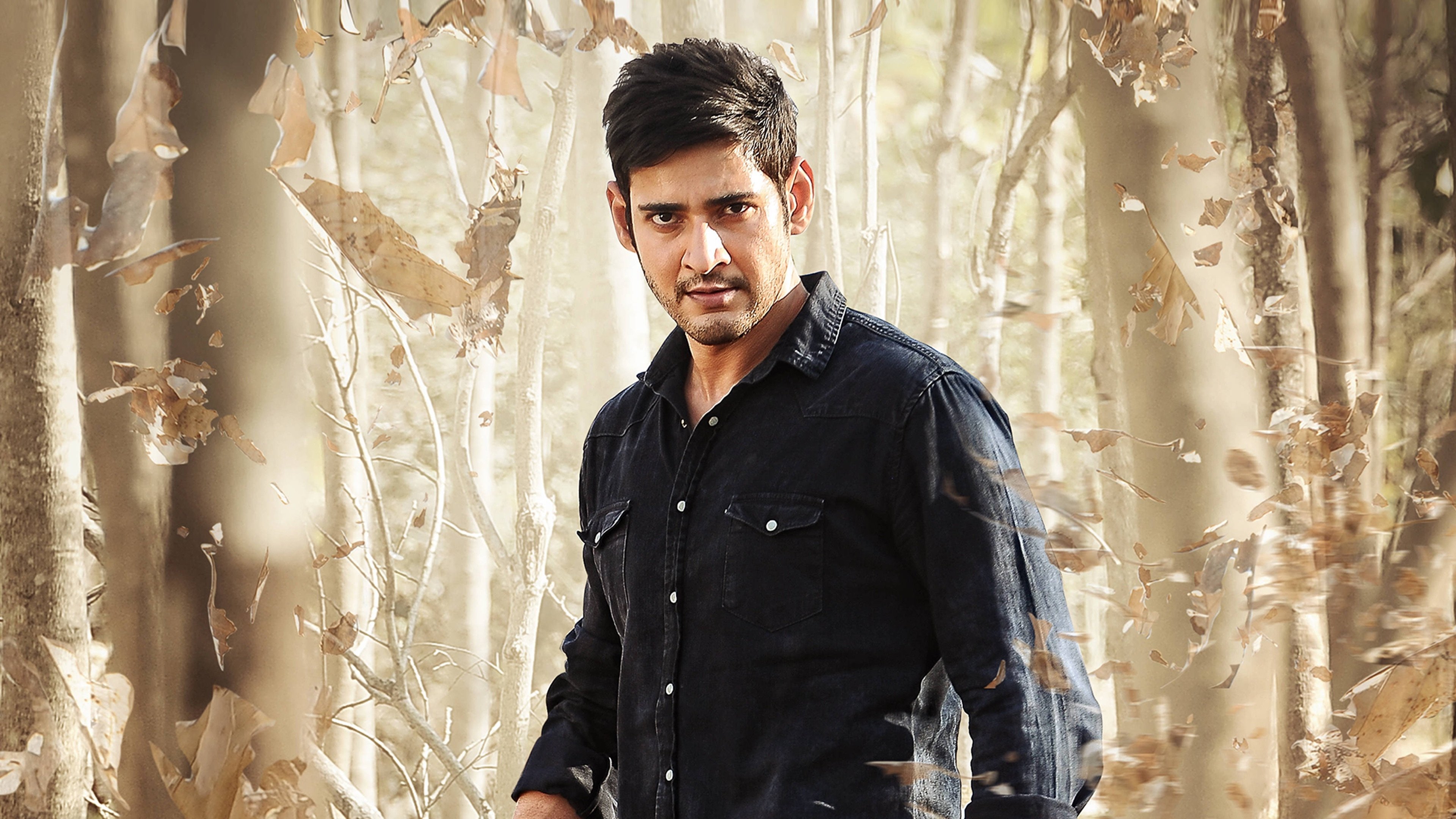 Srimanthudu Background