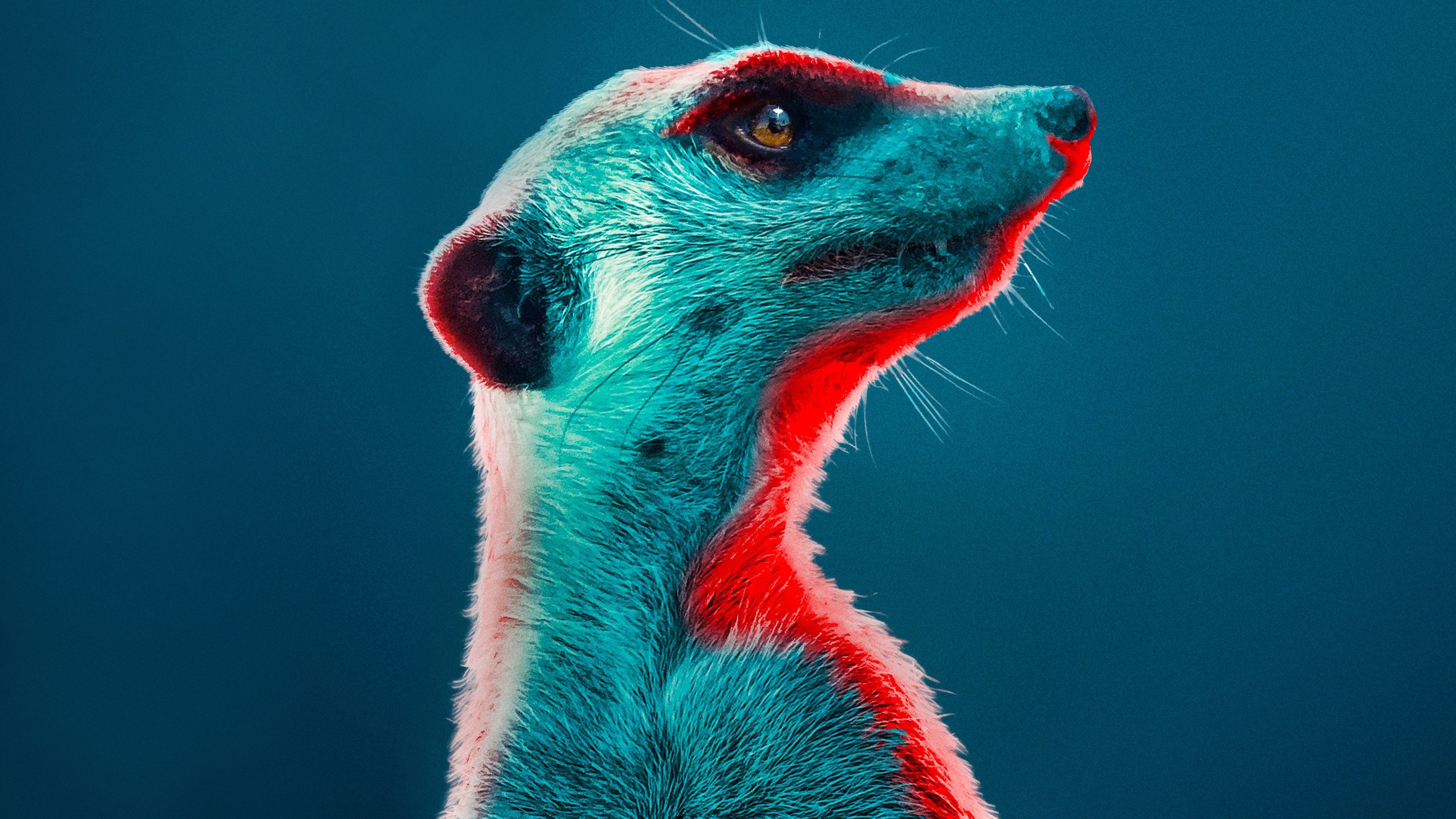 Meerkat Manor: Rise of the Dynasty Background