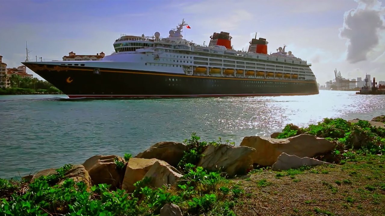 The Wrong Cruise Background