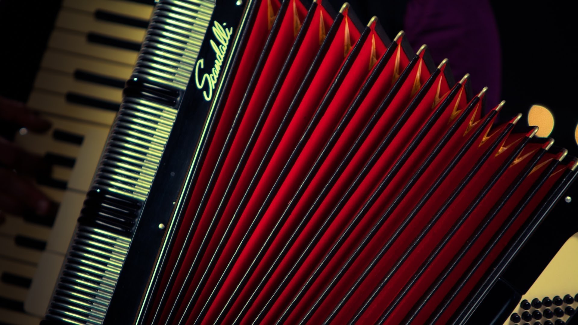 ‘Pedazo de acordeón’, un viaje a través de la historia del vallenato Background