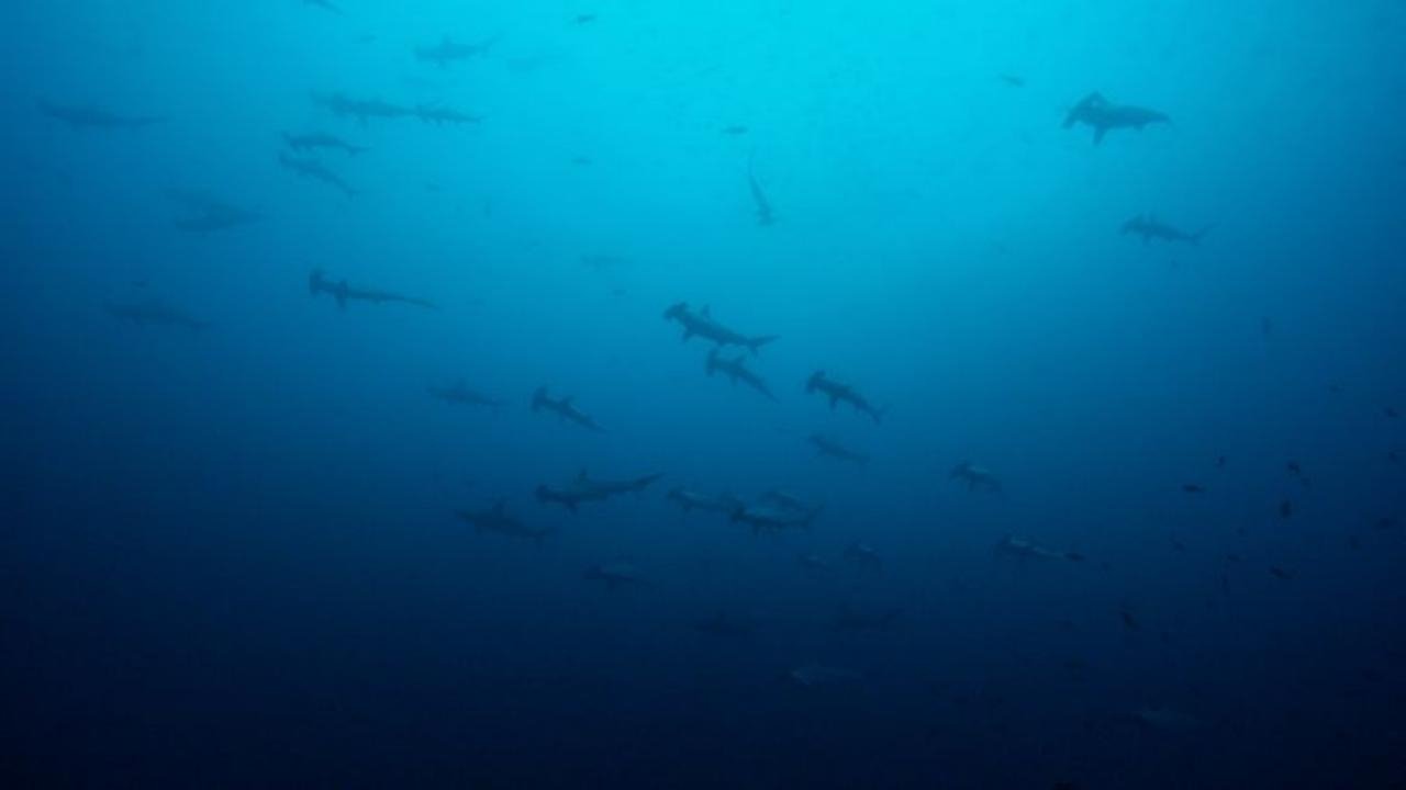 Oceans Background