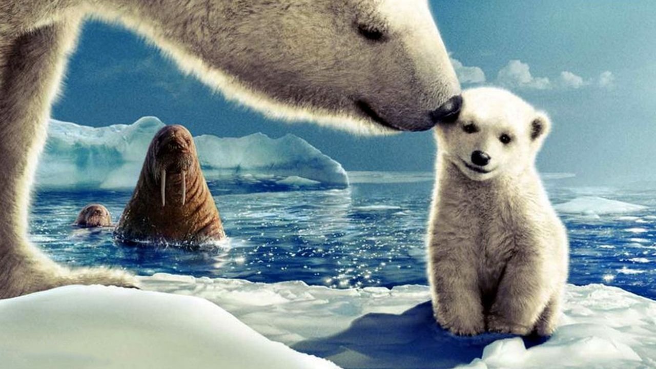 Arctic Tale Background
