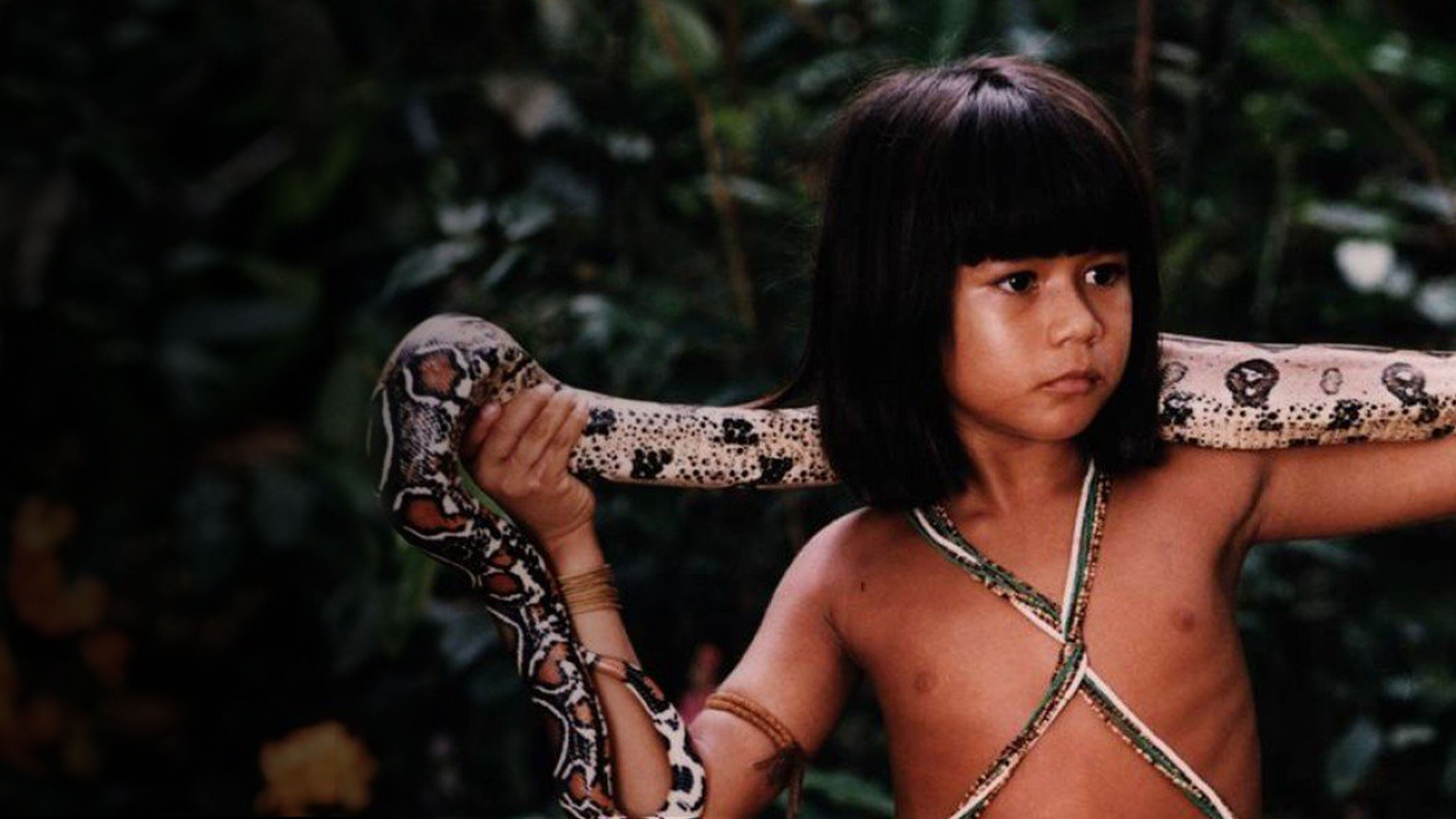 Tainá: An Amazon Adventure Background