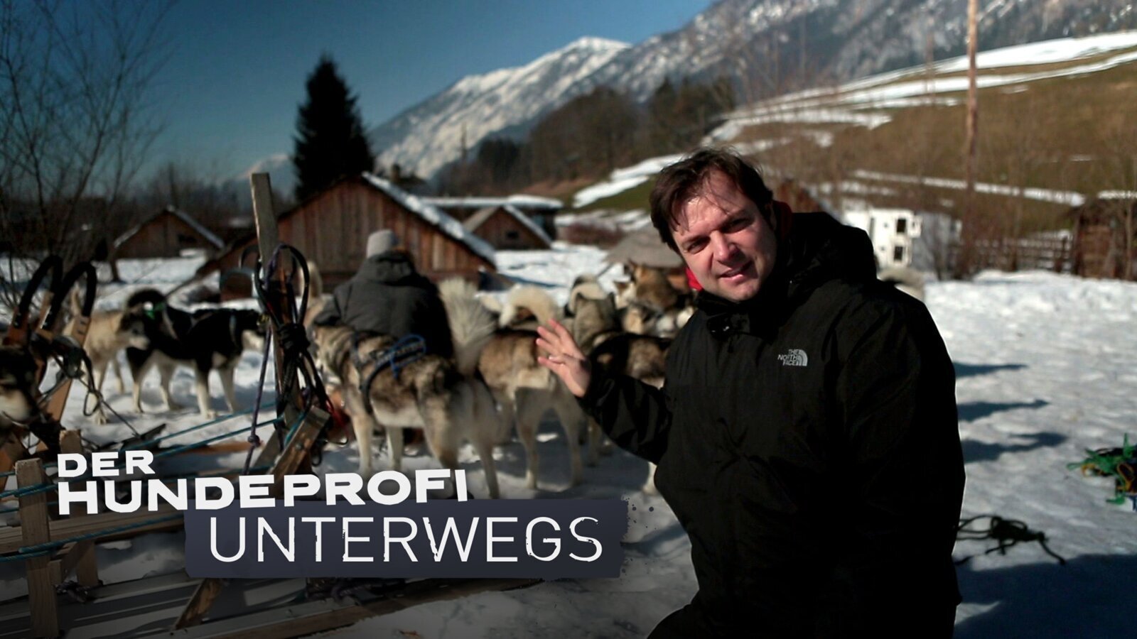 Der Hundeprofi unterwegs Background