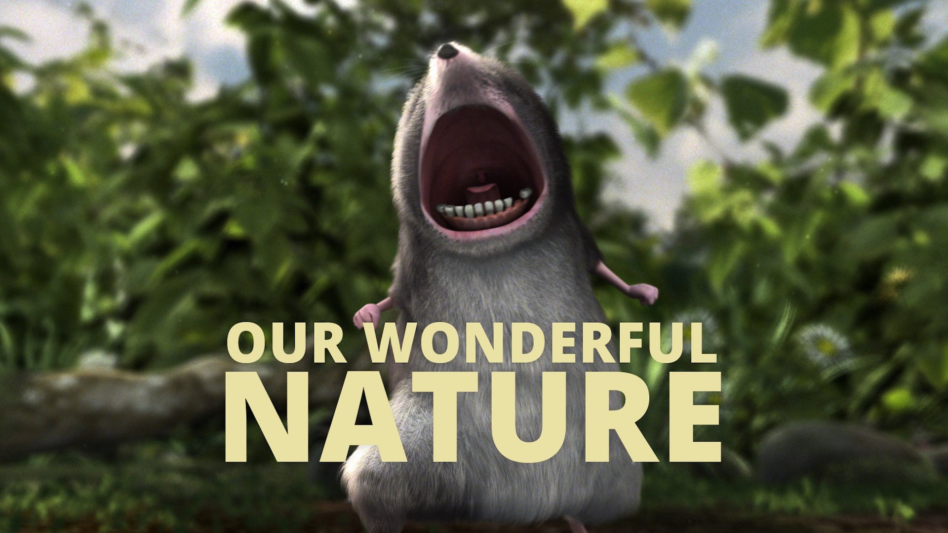 Our Wonderful Nature Background