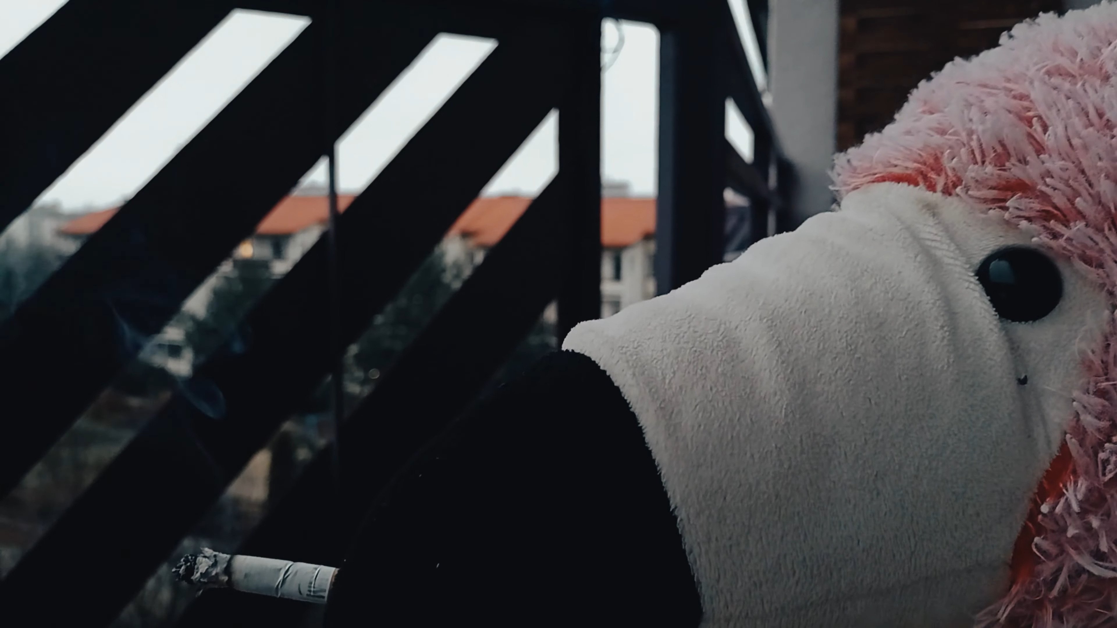 Historia dnia jutrzejszego Background