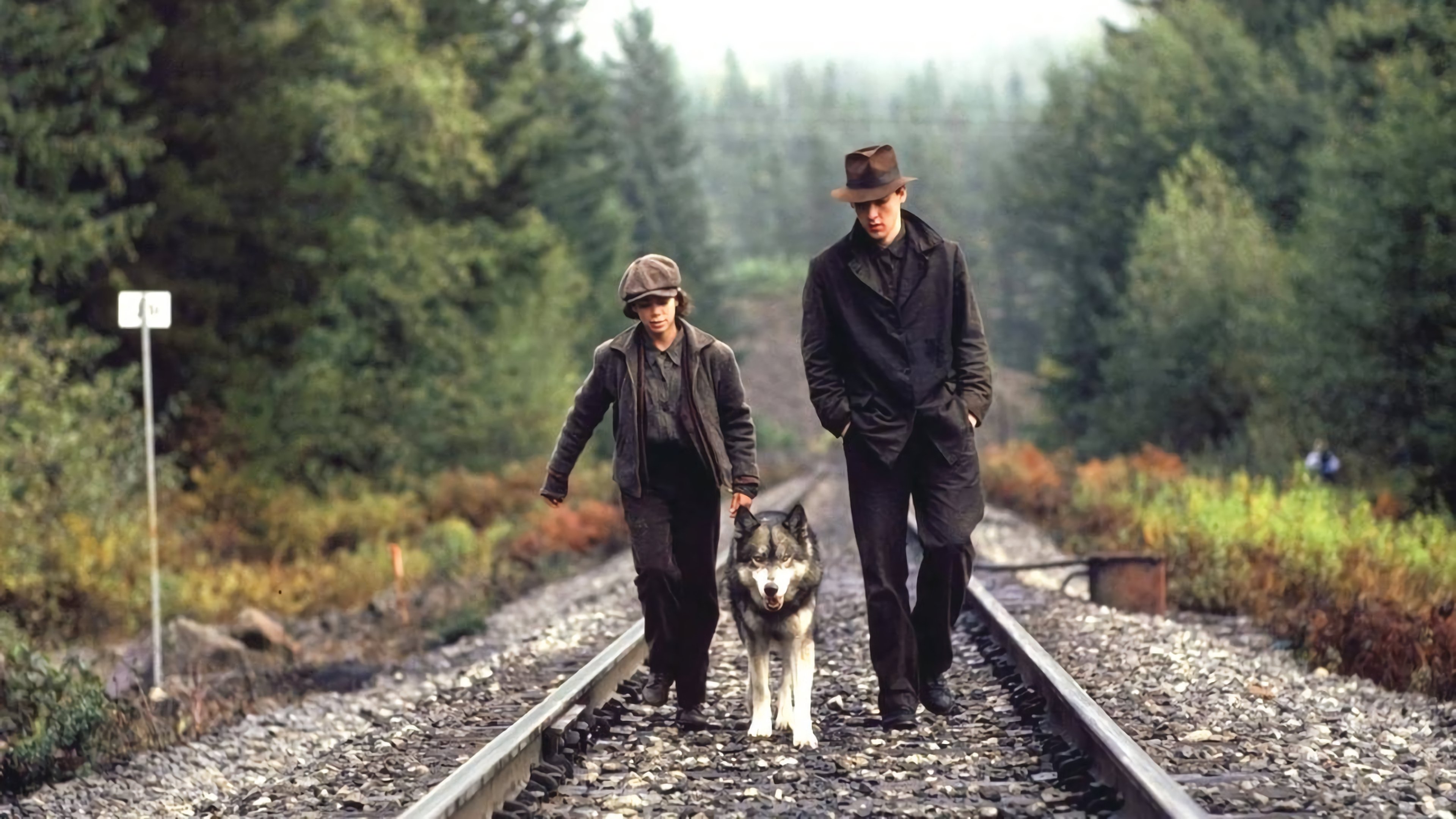 The Journey of Natty Gann Background