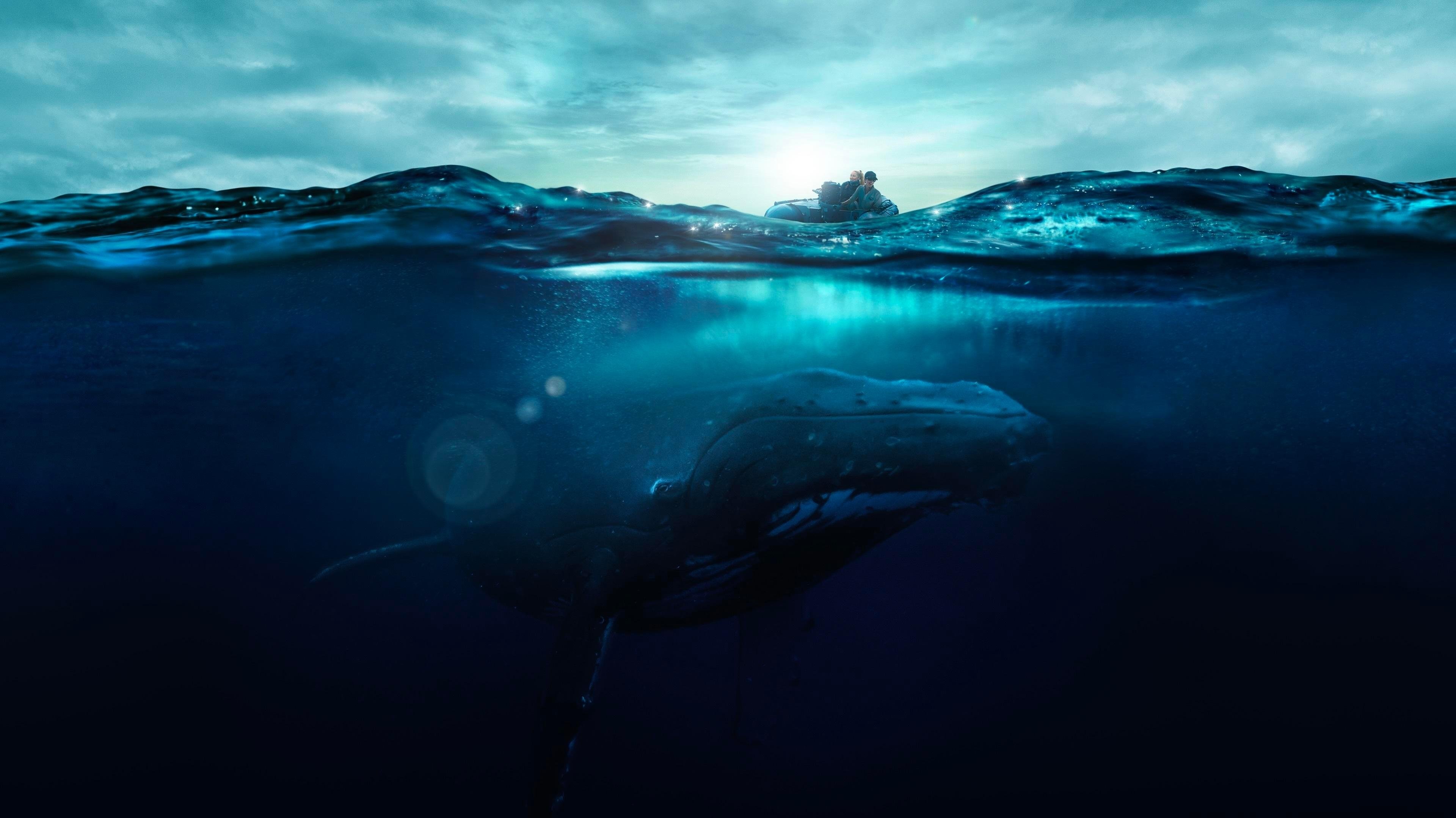 Fathom Background