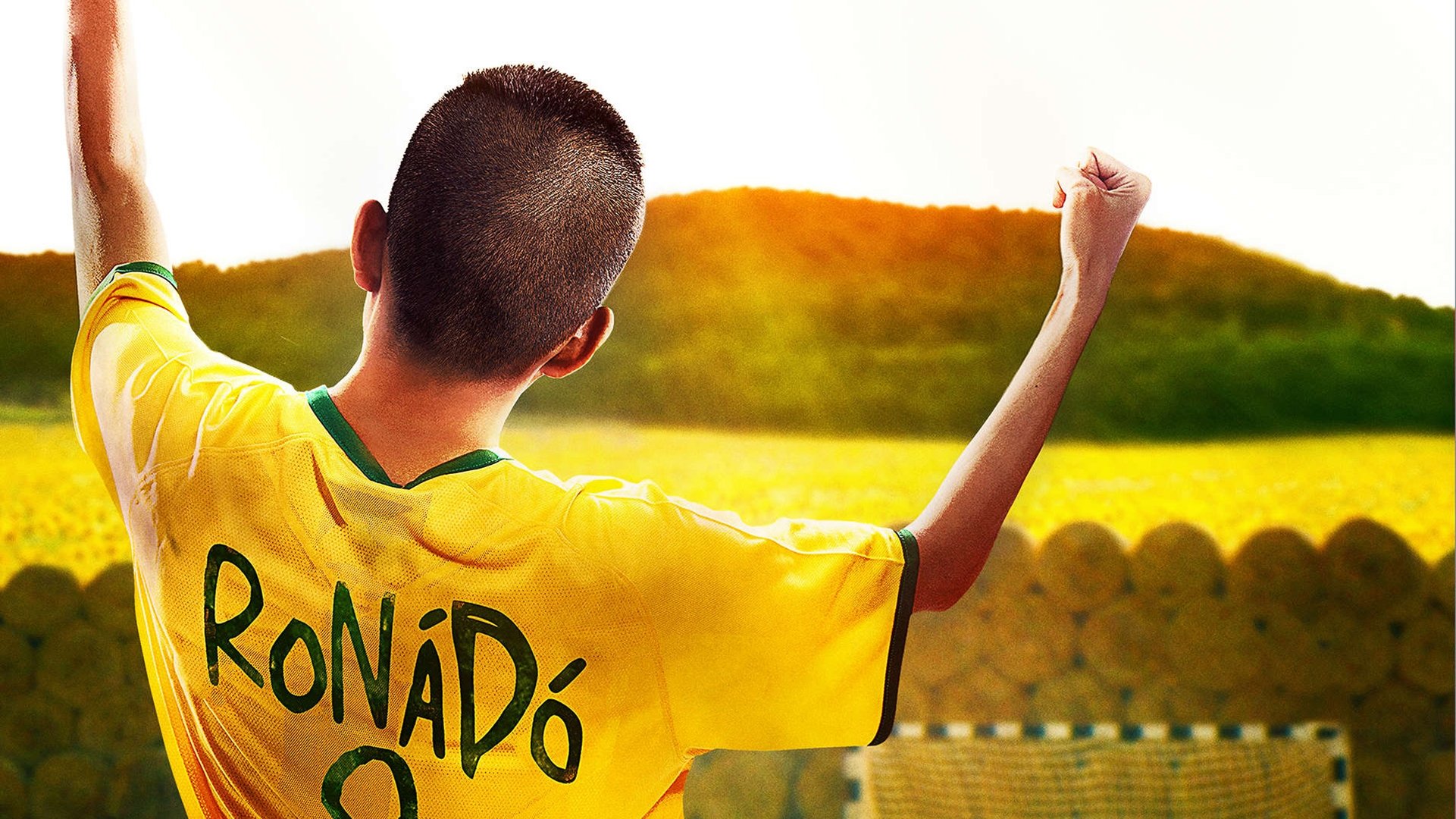 Brazilok Background