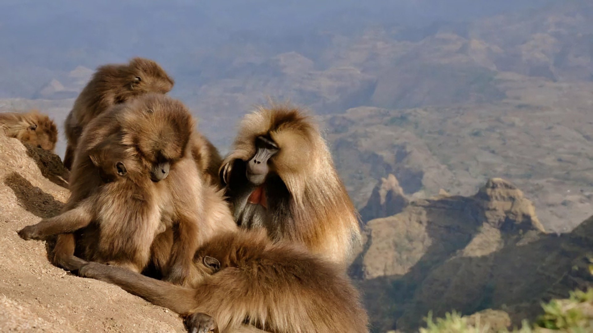Africa's Hidden Wonders Background
