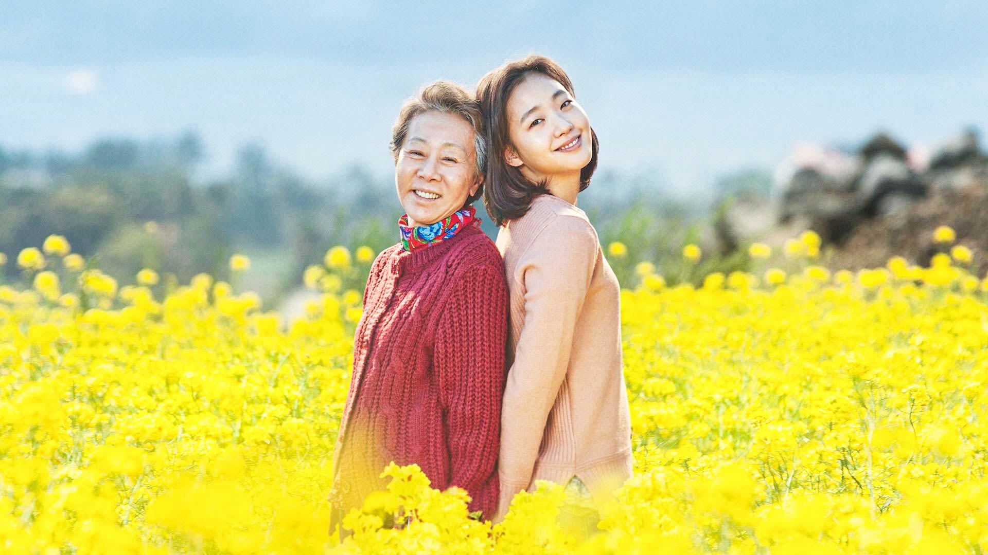 Canola Background