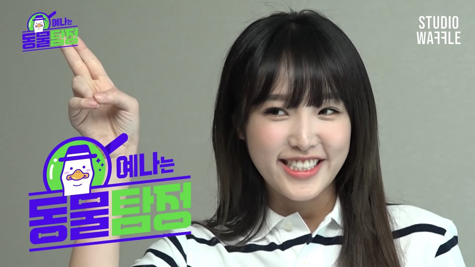Animal Detective Yena Background