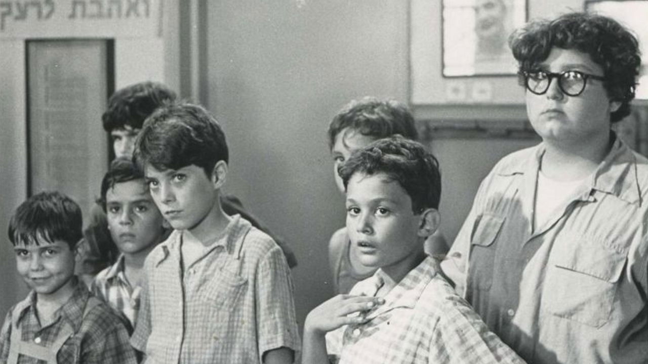 The Wooden Gun Background