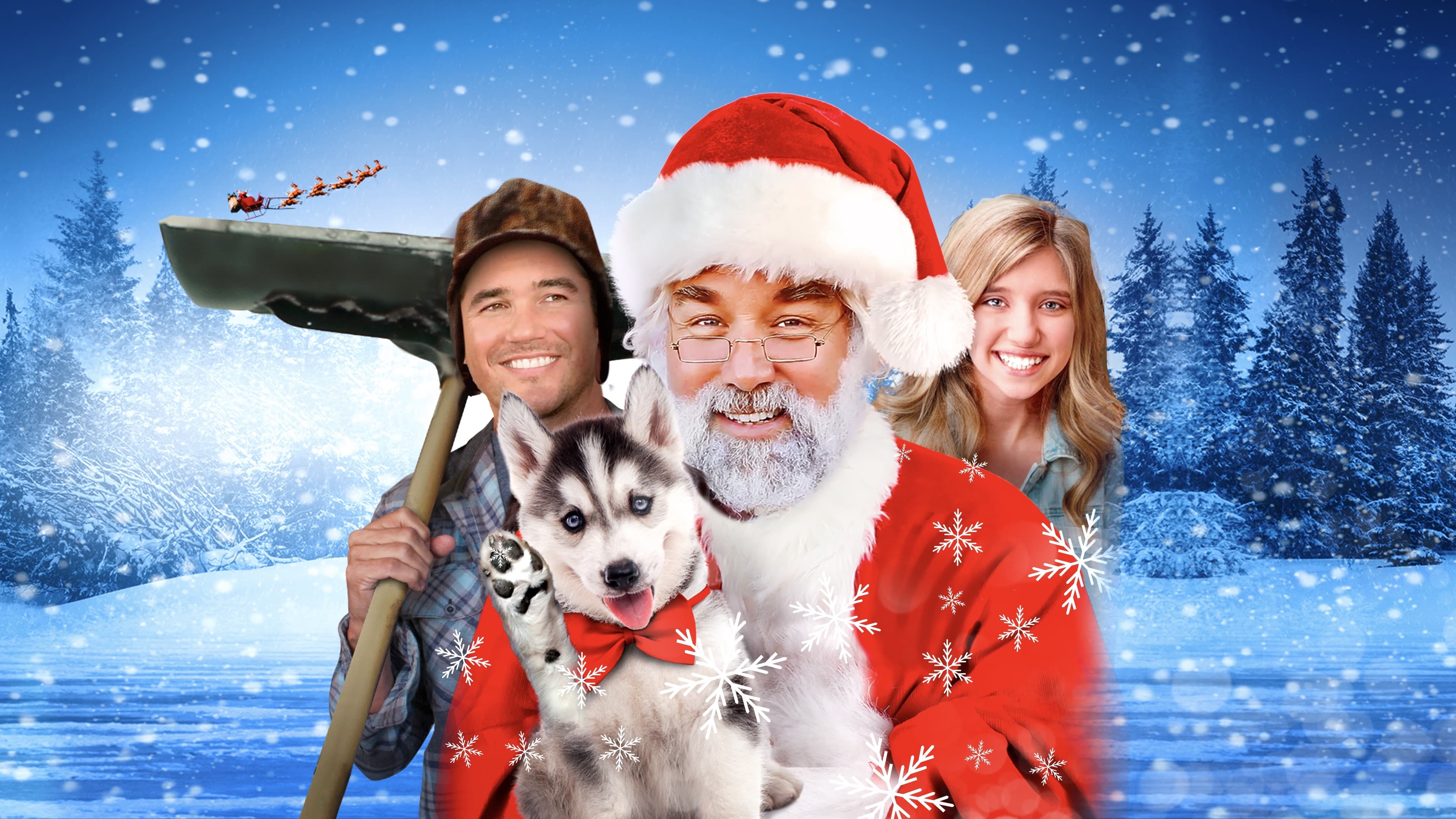 A Dog for Christmas Background