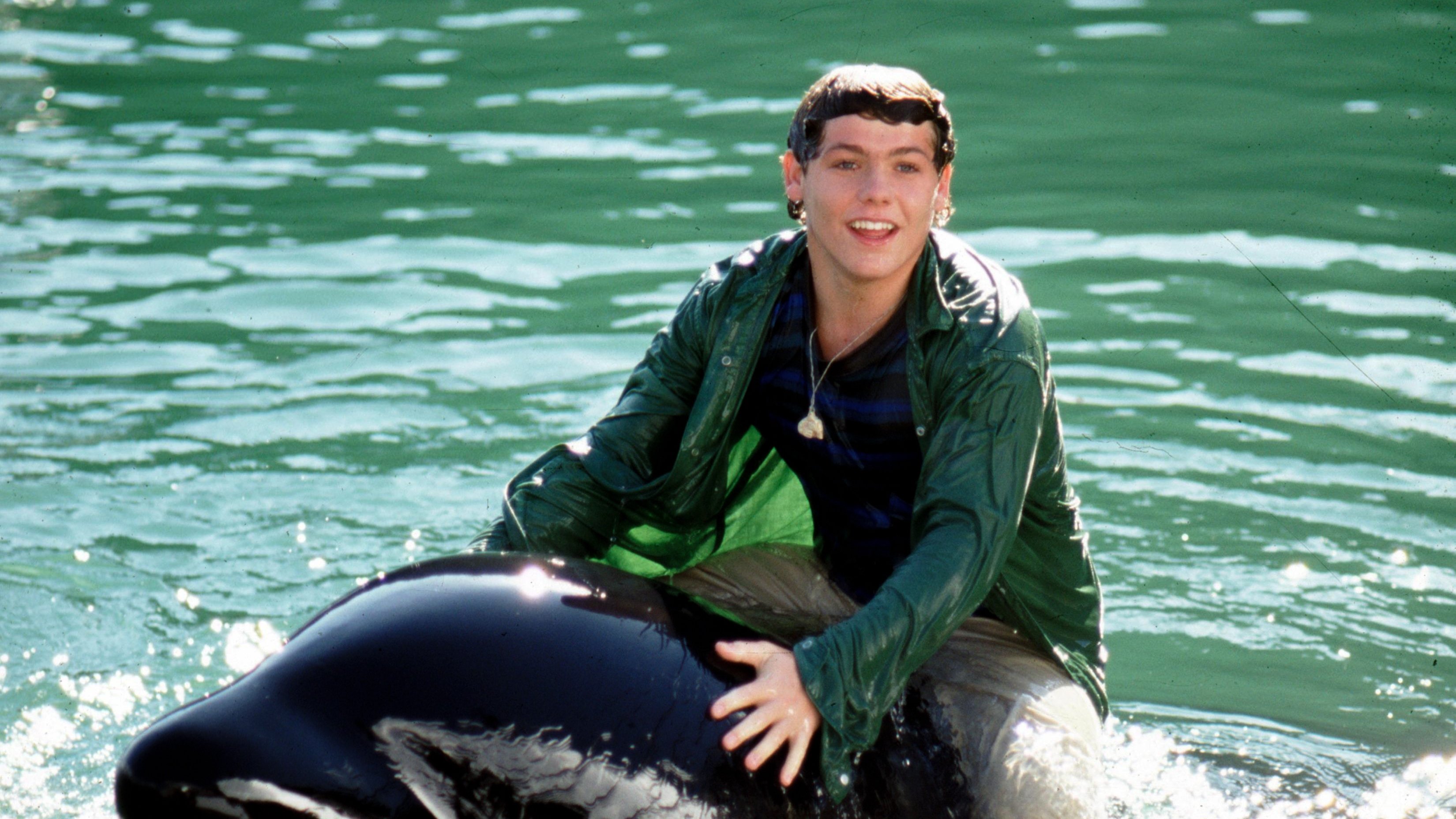 Free Willy 3: The Rescue Background