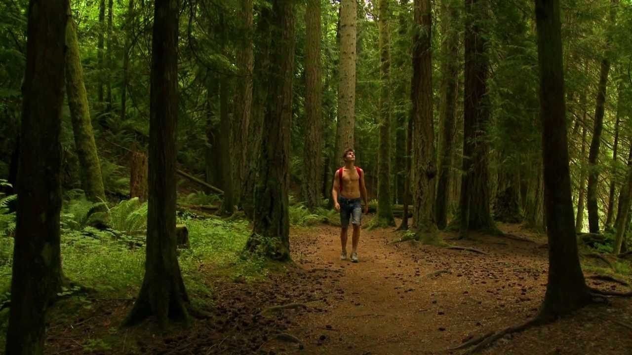 1313: Bigfoot Island Background