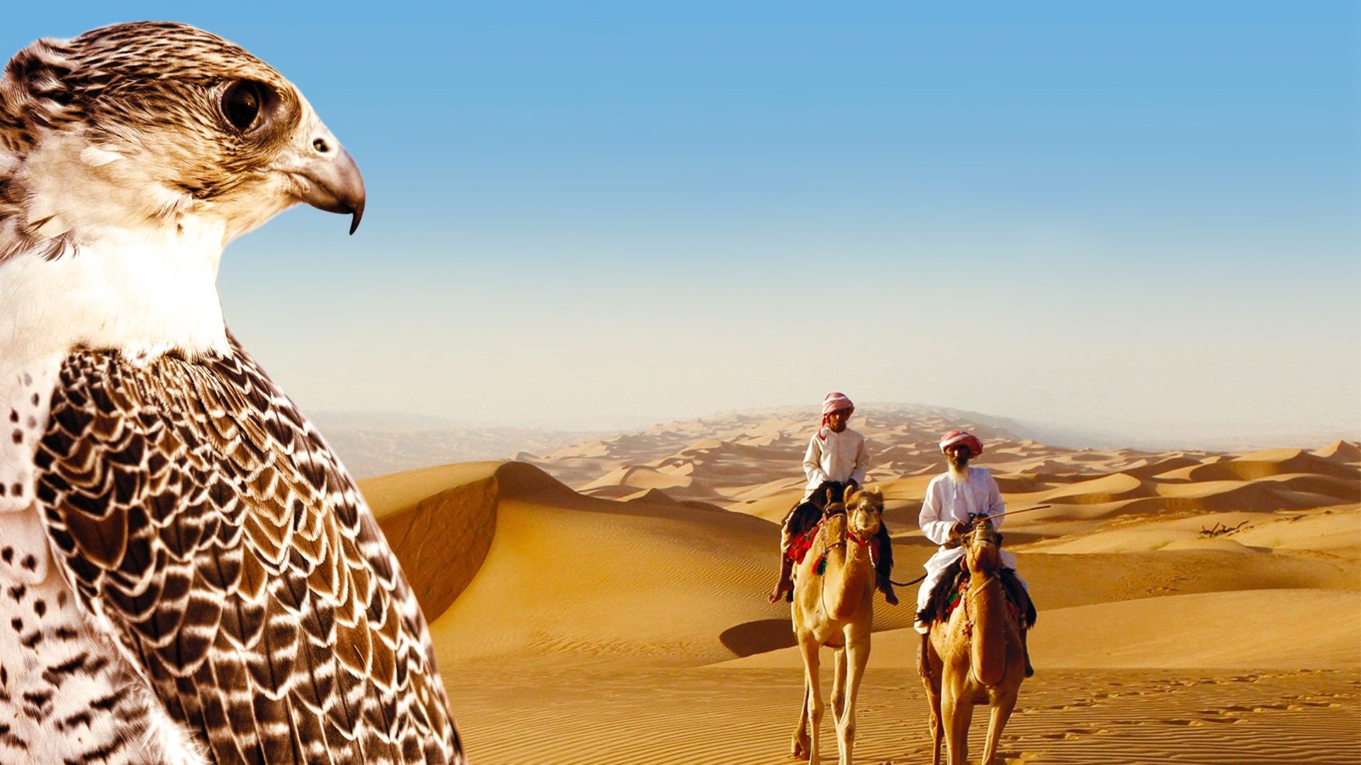 Wild Arabia Background