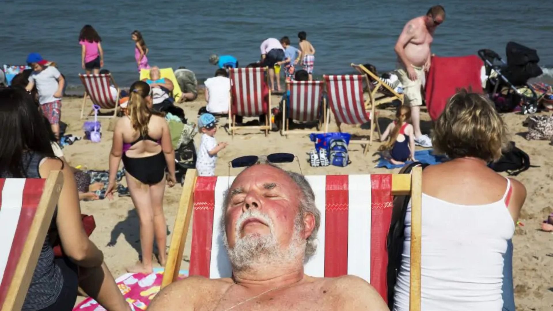 I Am Martin Parr Background