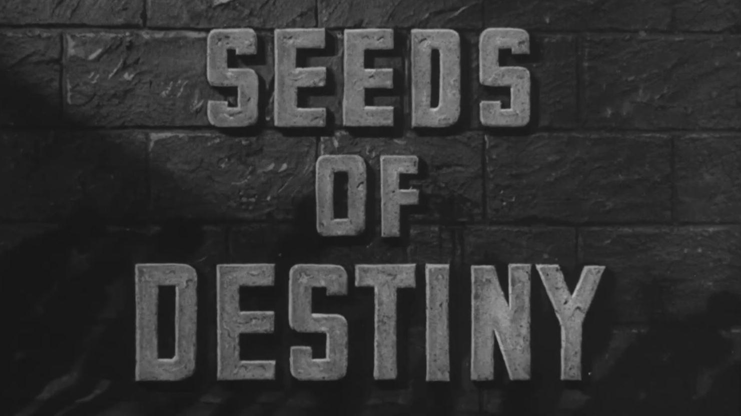 Seeds of Destiny Background